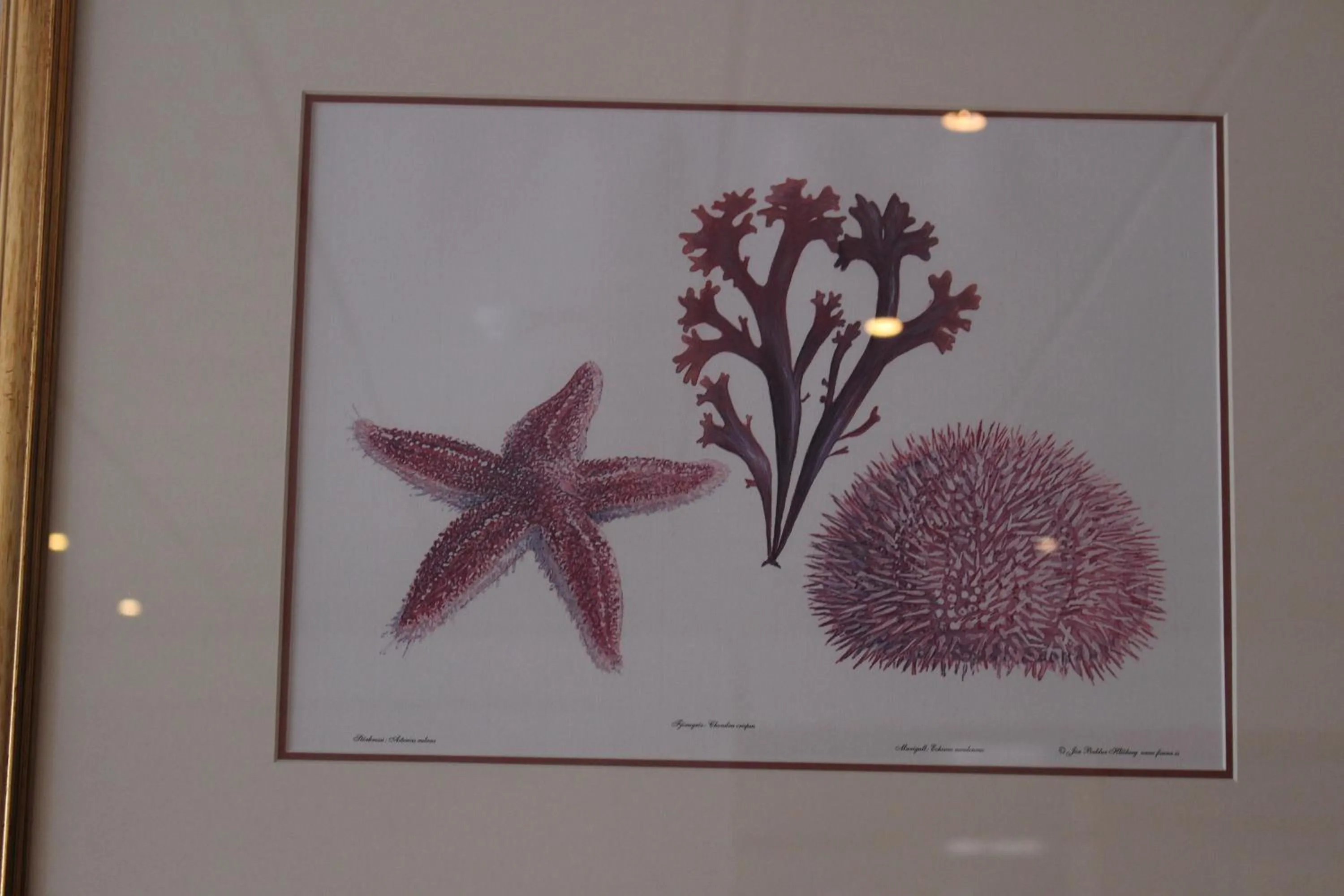 Decorative detail in Welcome Riverside Guesthouse