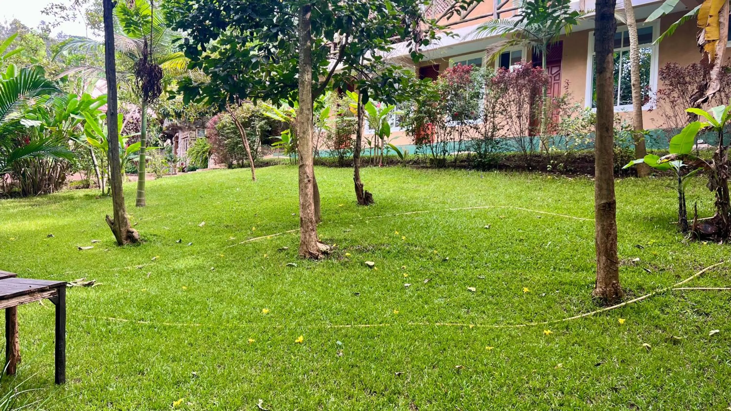 Natural landscape in Skill forest lodge