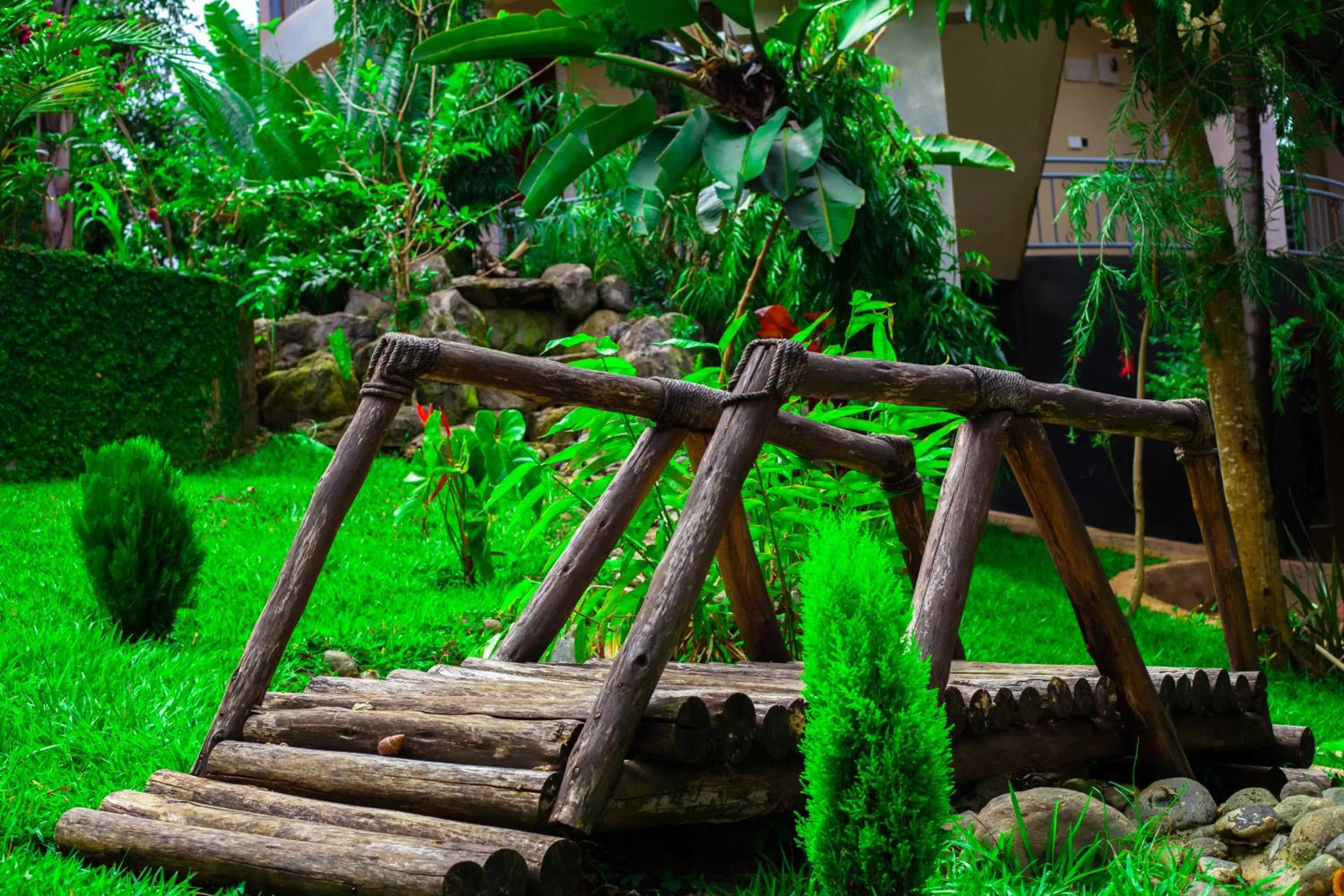 Day in Skill forest lodge