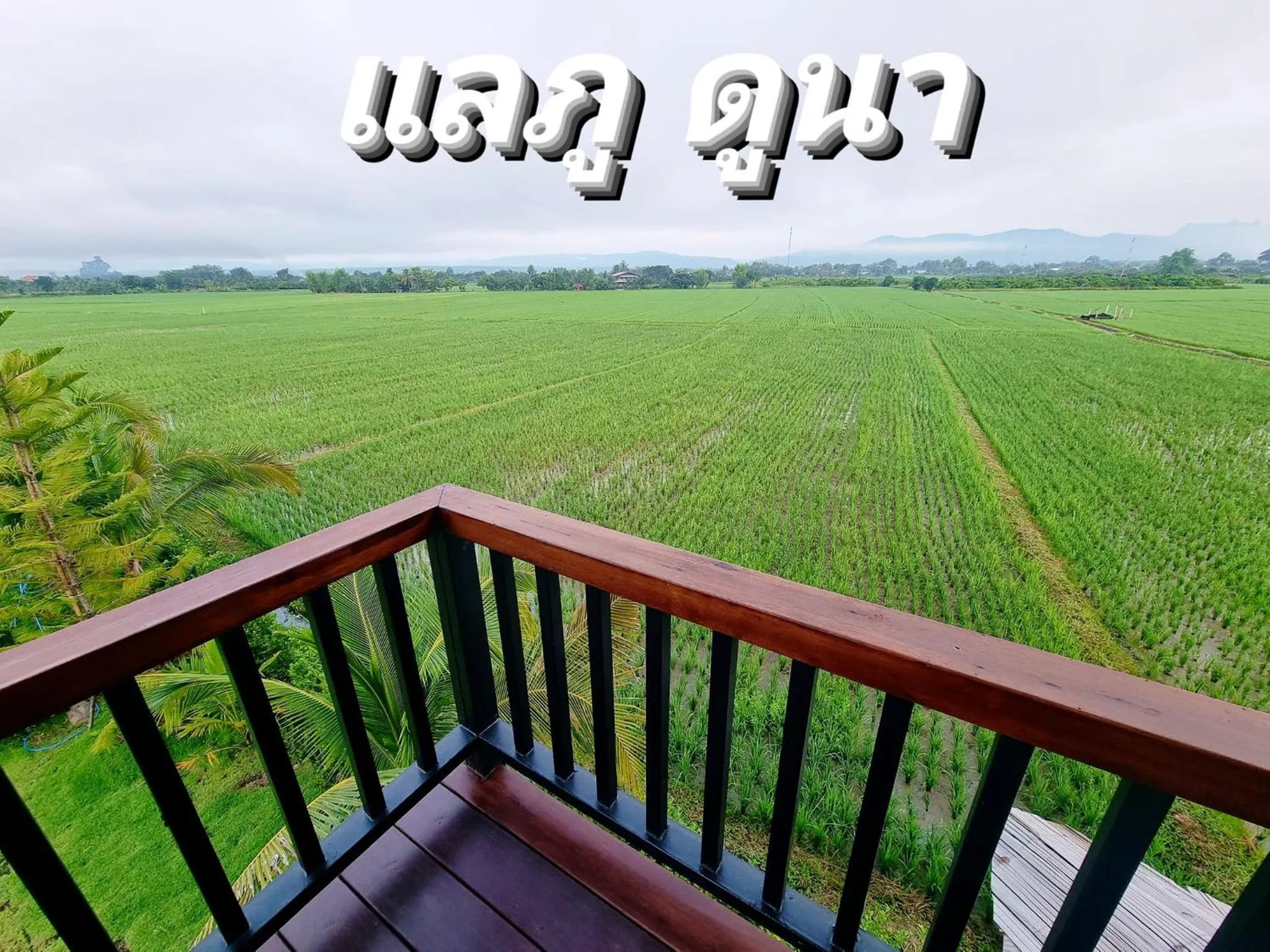 Restaurant/places to eat in DooNa Resort แลภูดูนา