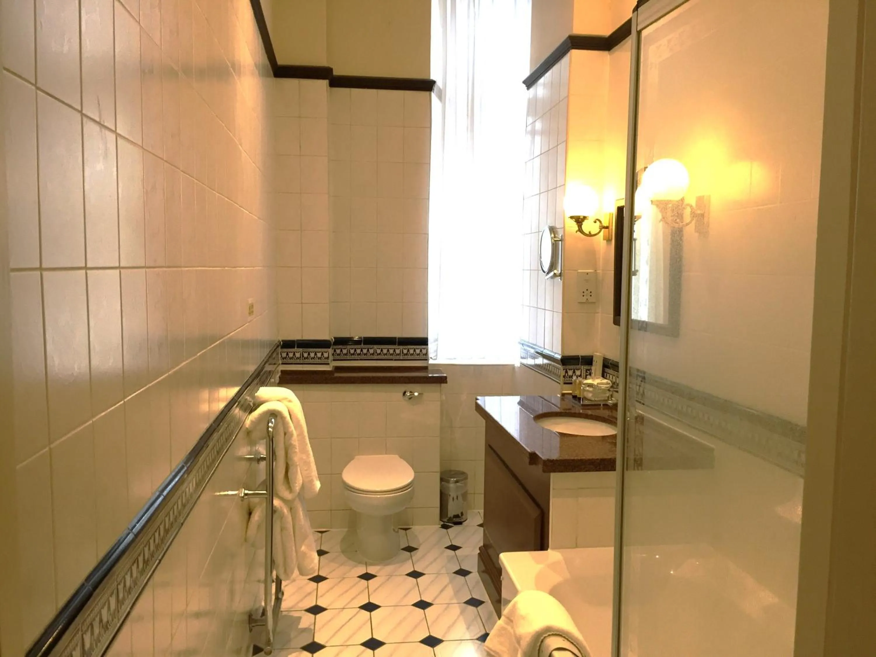 Toilet in Millennium Hotel Glasgow