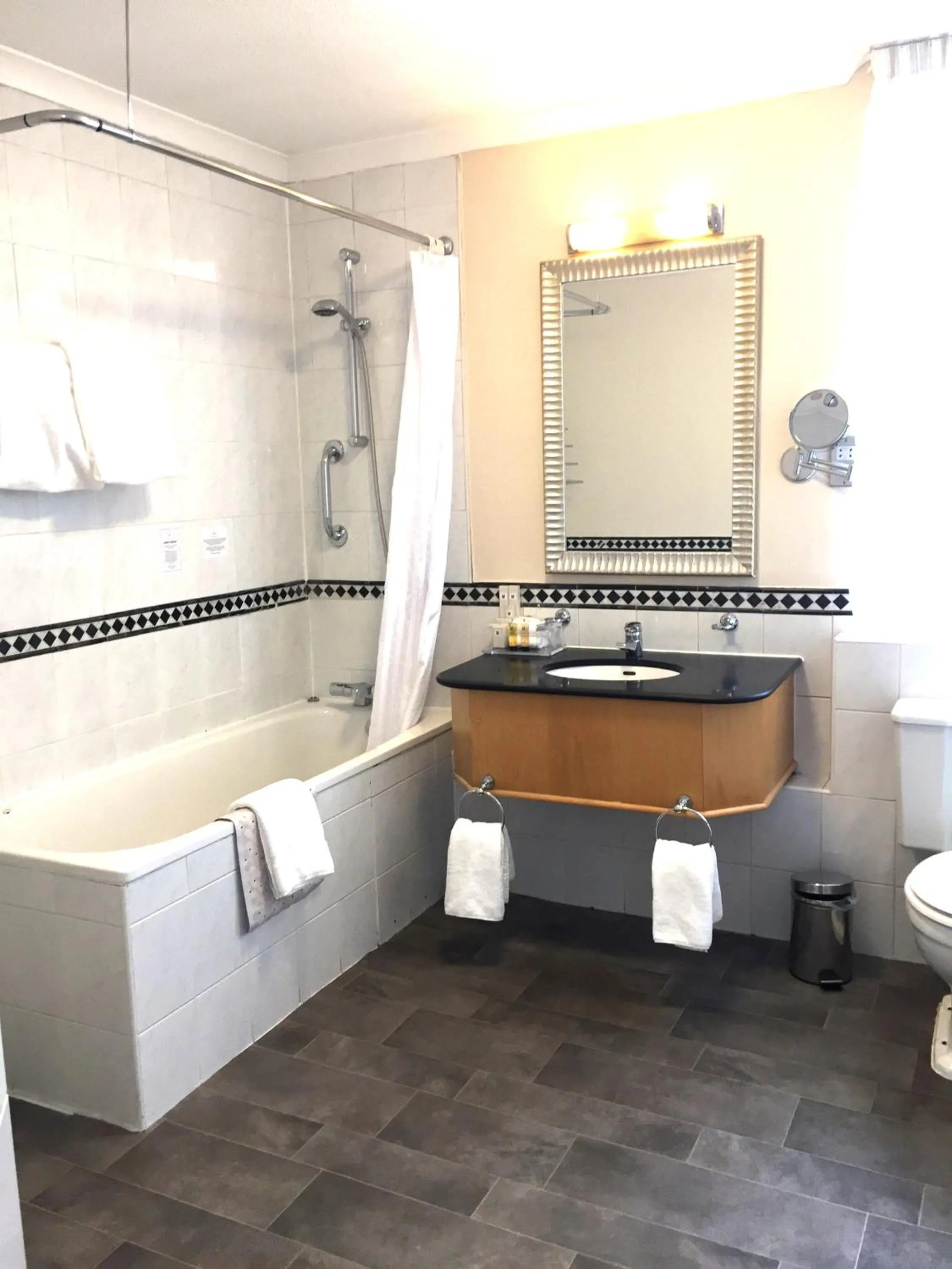 Toilet in Millennium Hotel Glasgow