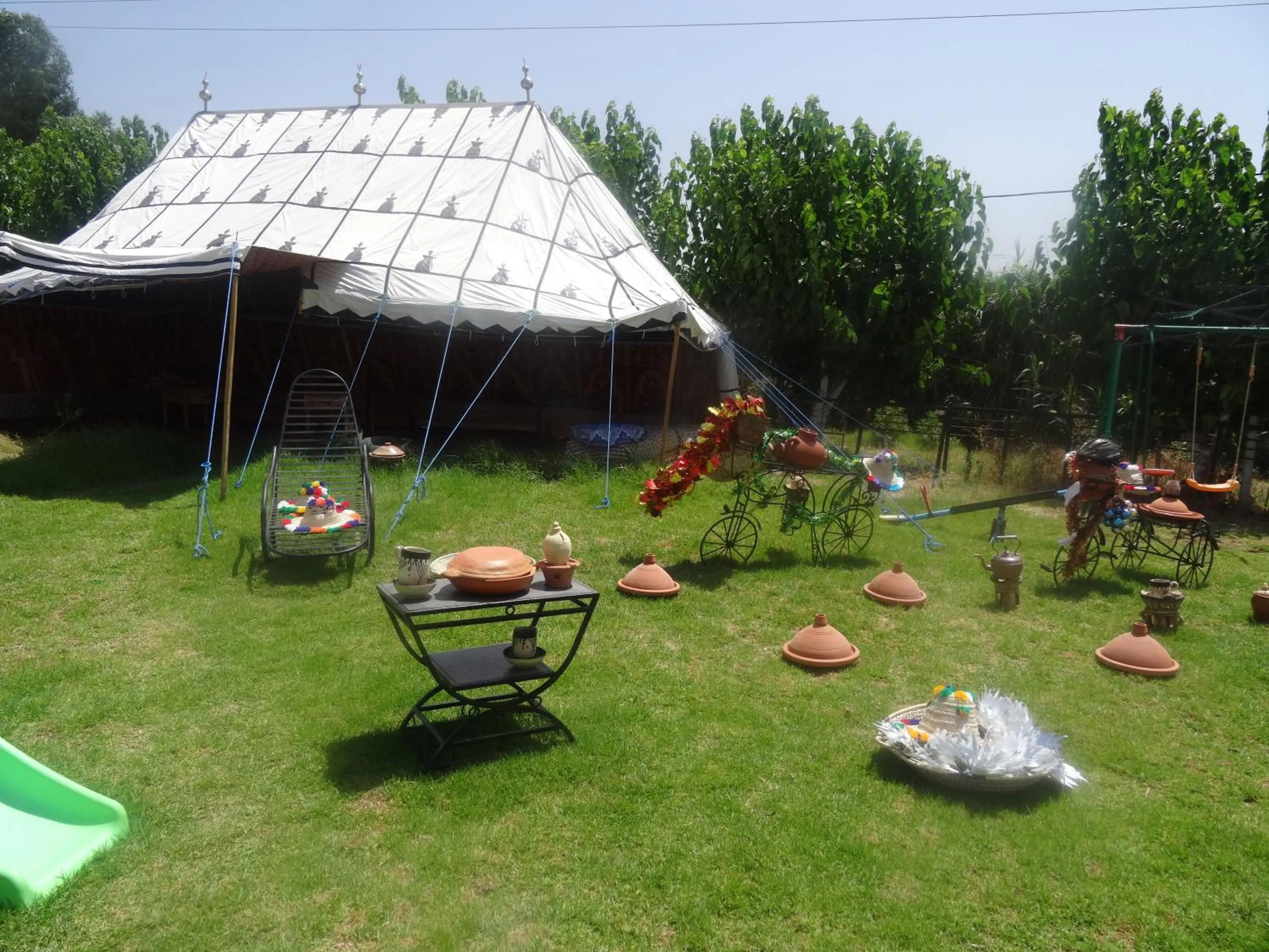 Spring in Tahla Garden