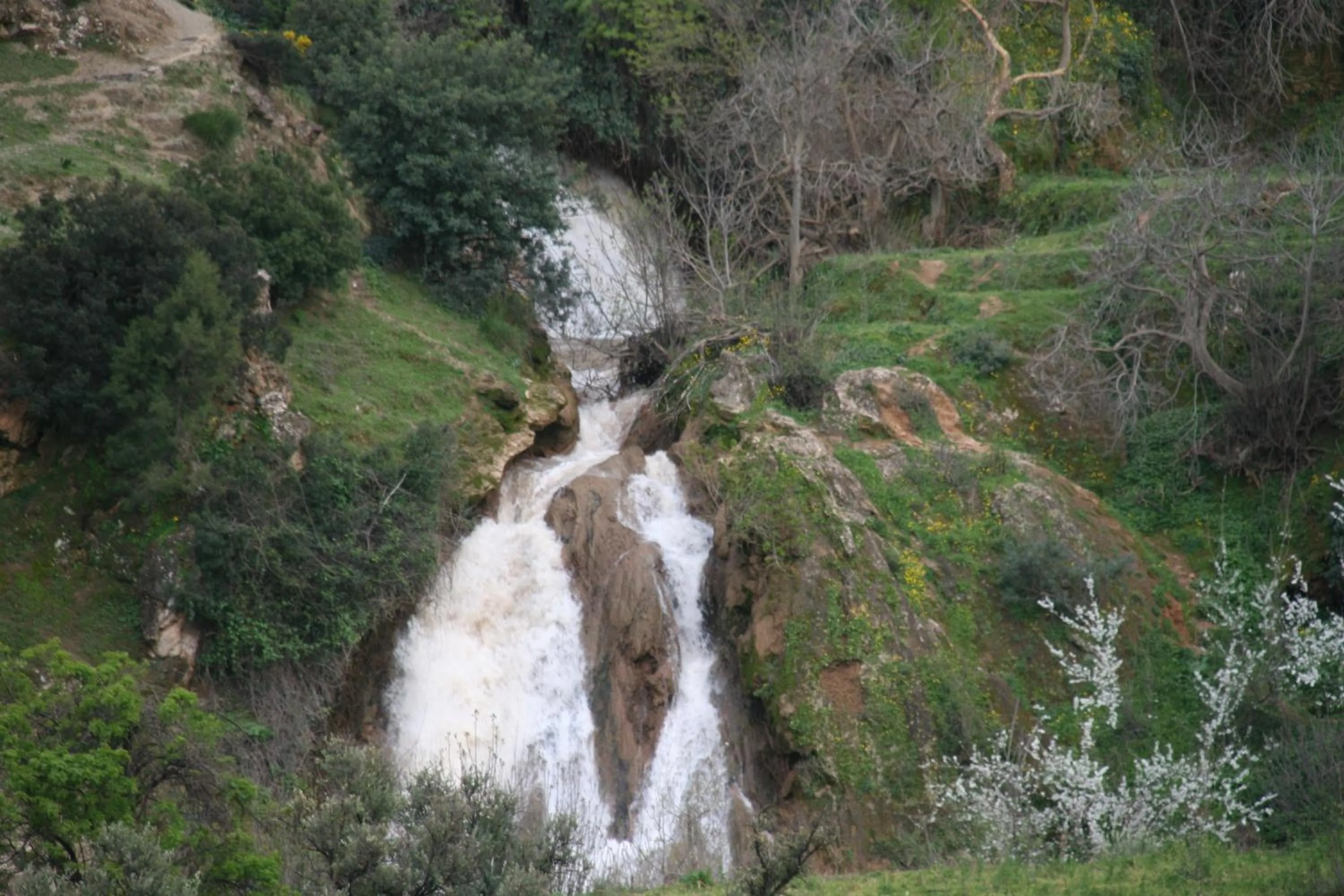 Natural landscape in Tahla Garden