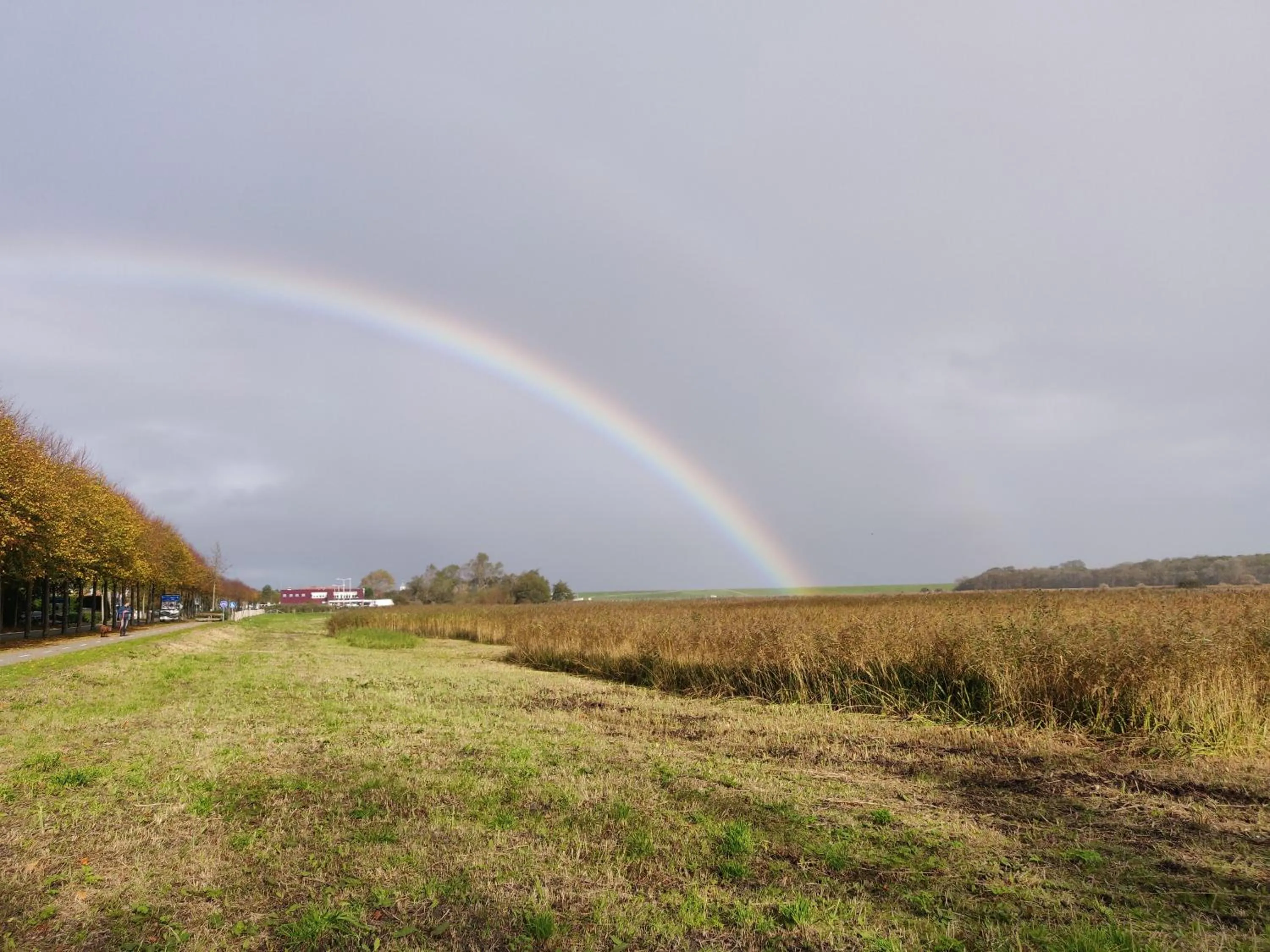 Vakantiebungalow Texel