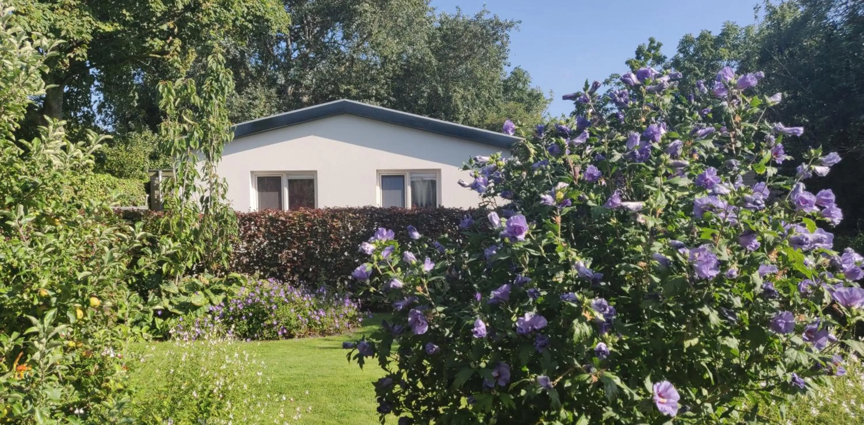 Vakantiebungalow Texel
