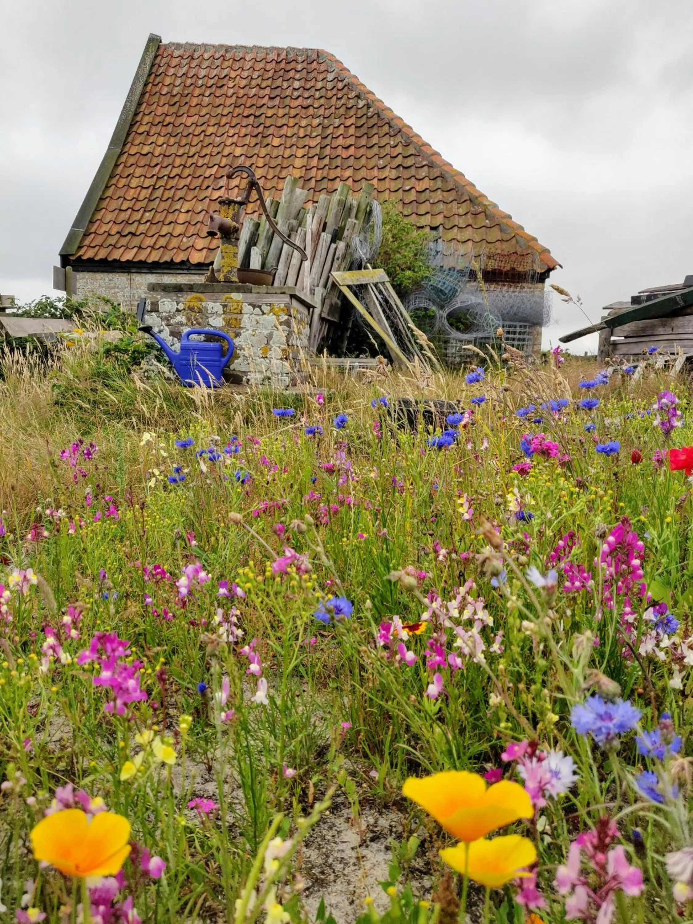 Vakantiebungalow Texel