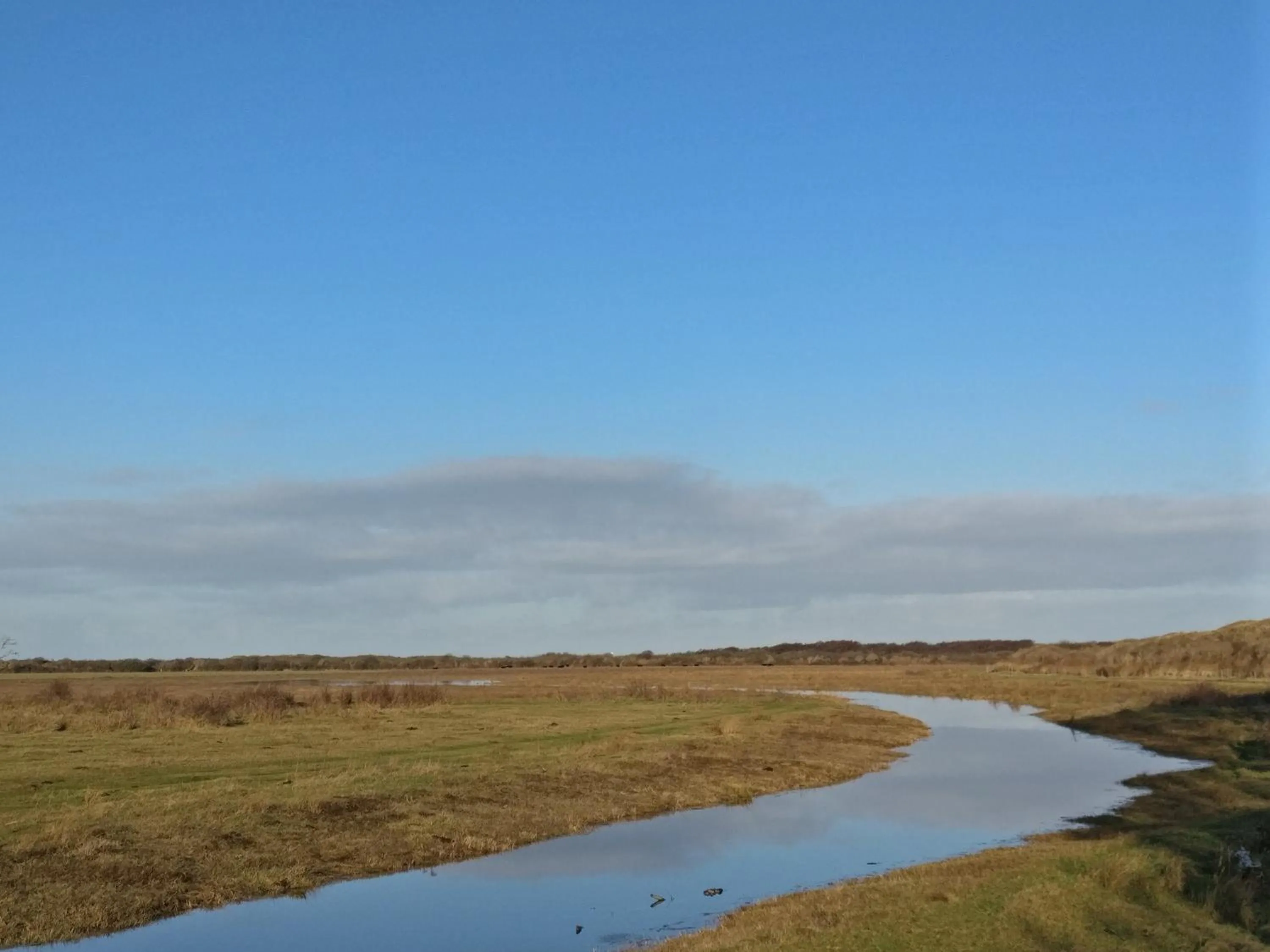 Vakantiebungalow Texel