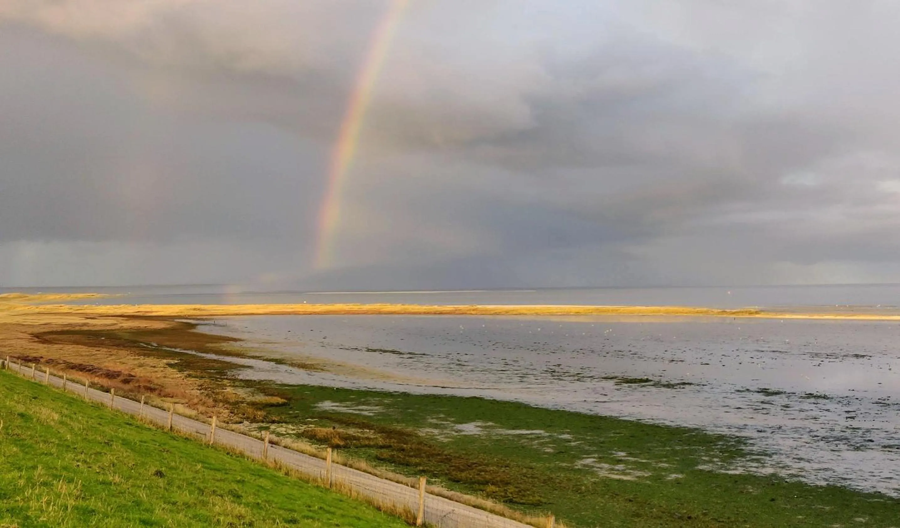Vakantiebungalow Texel