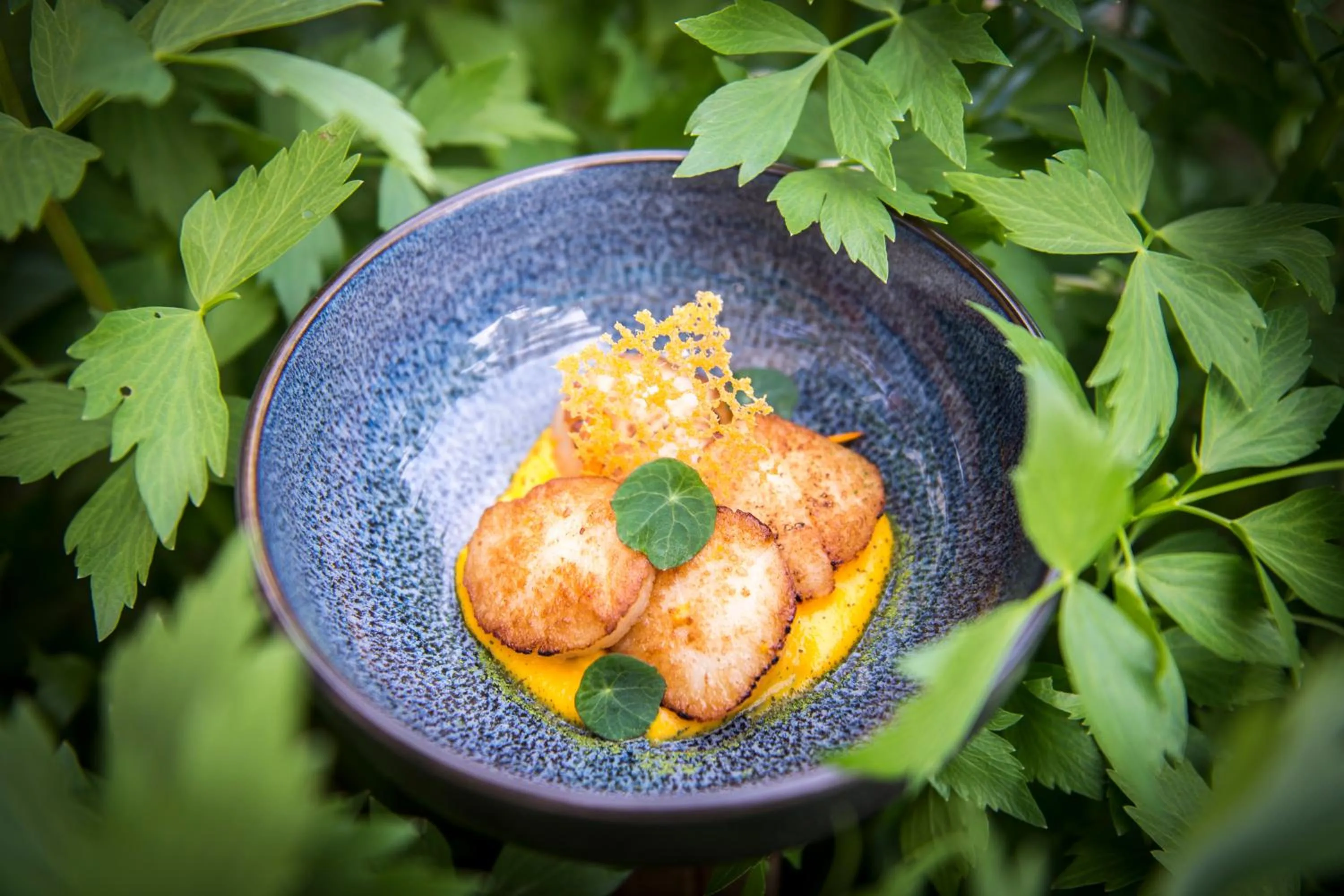 Food and drinks in Hotel Greenside Texel