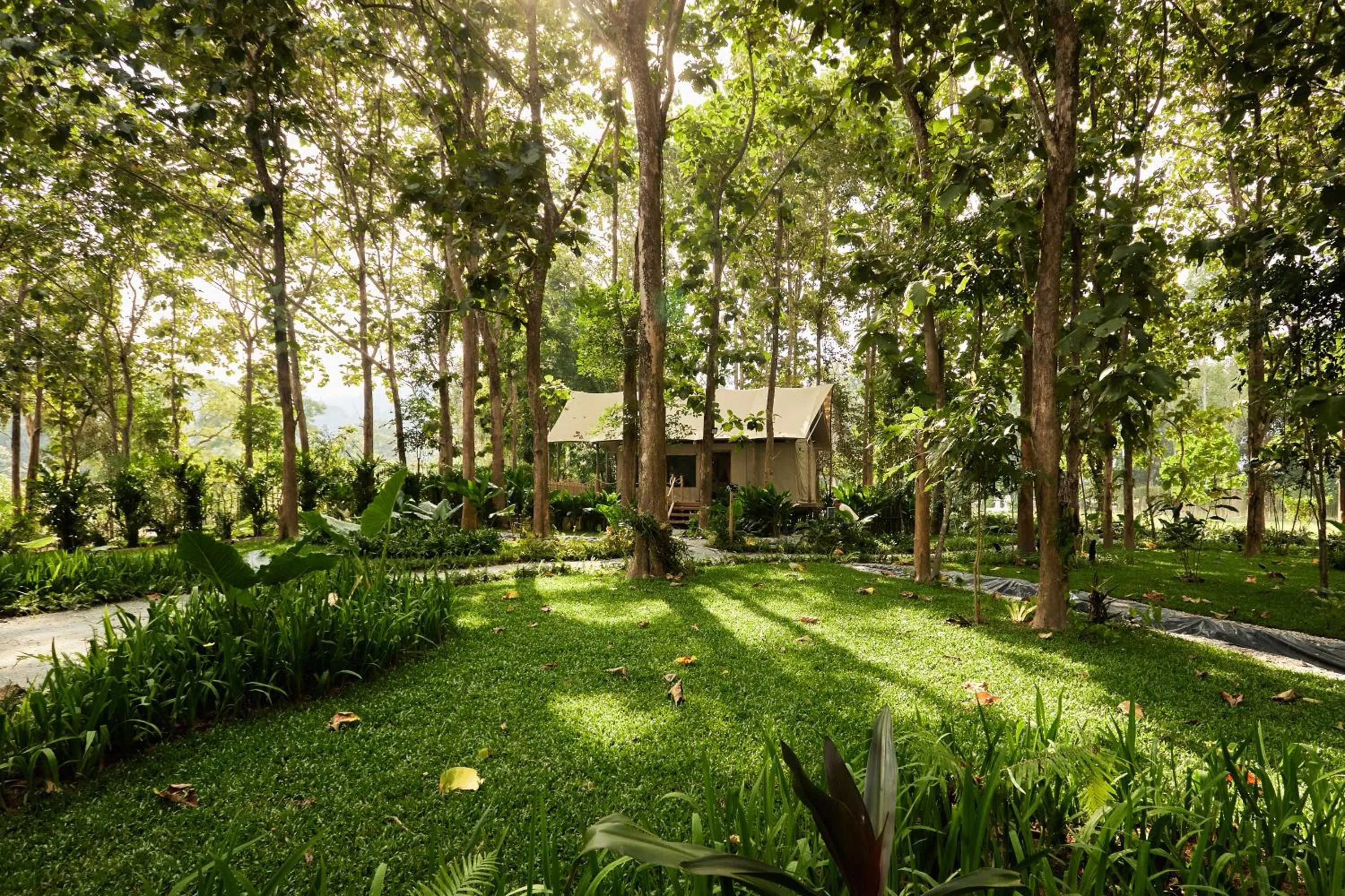 Tantawan Tented Camp by Dusit, Chiang Rai
