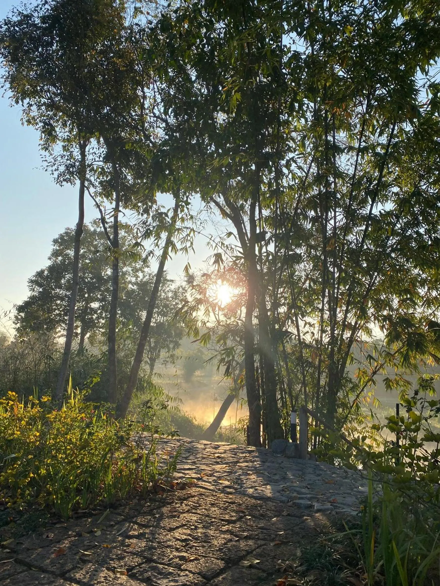 Tantawan Tented Camp by Dusit, Chiang Rai