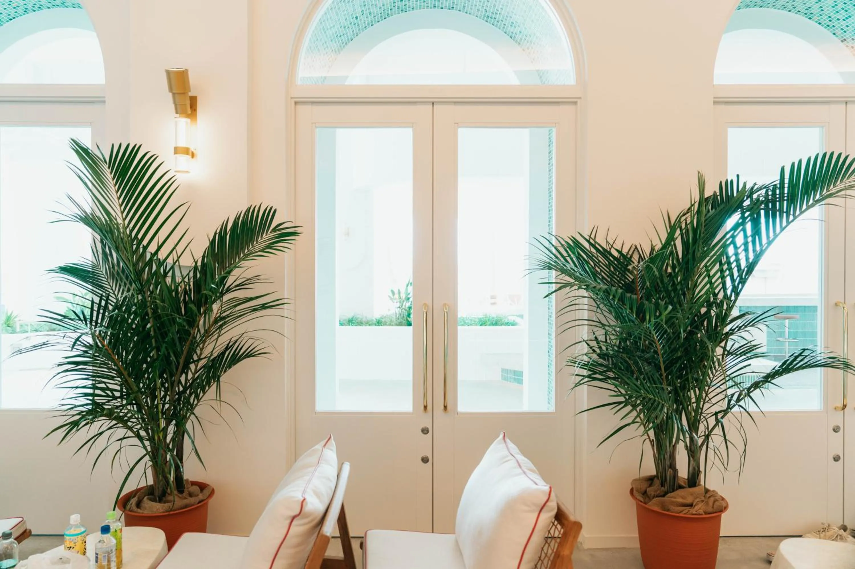 Area and facilities in THE SENAGAJIMA STORYLINE