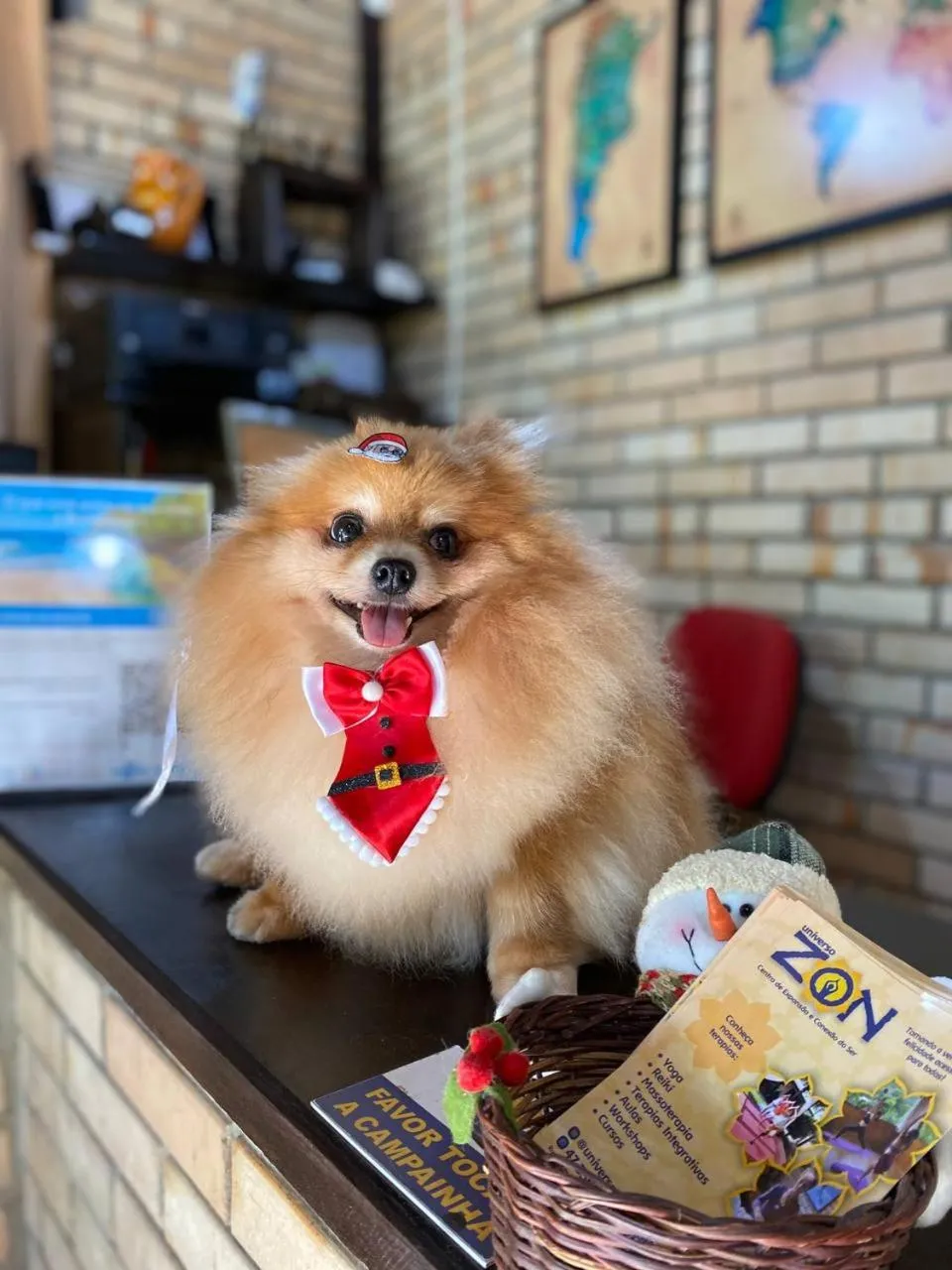 Pets in Chalés do Holandês Eco Pousada