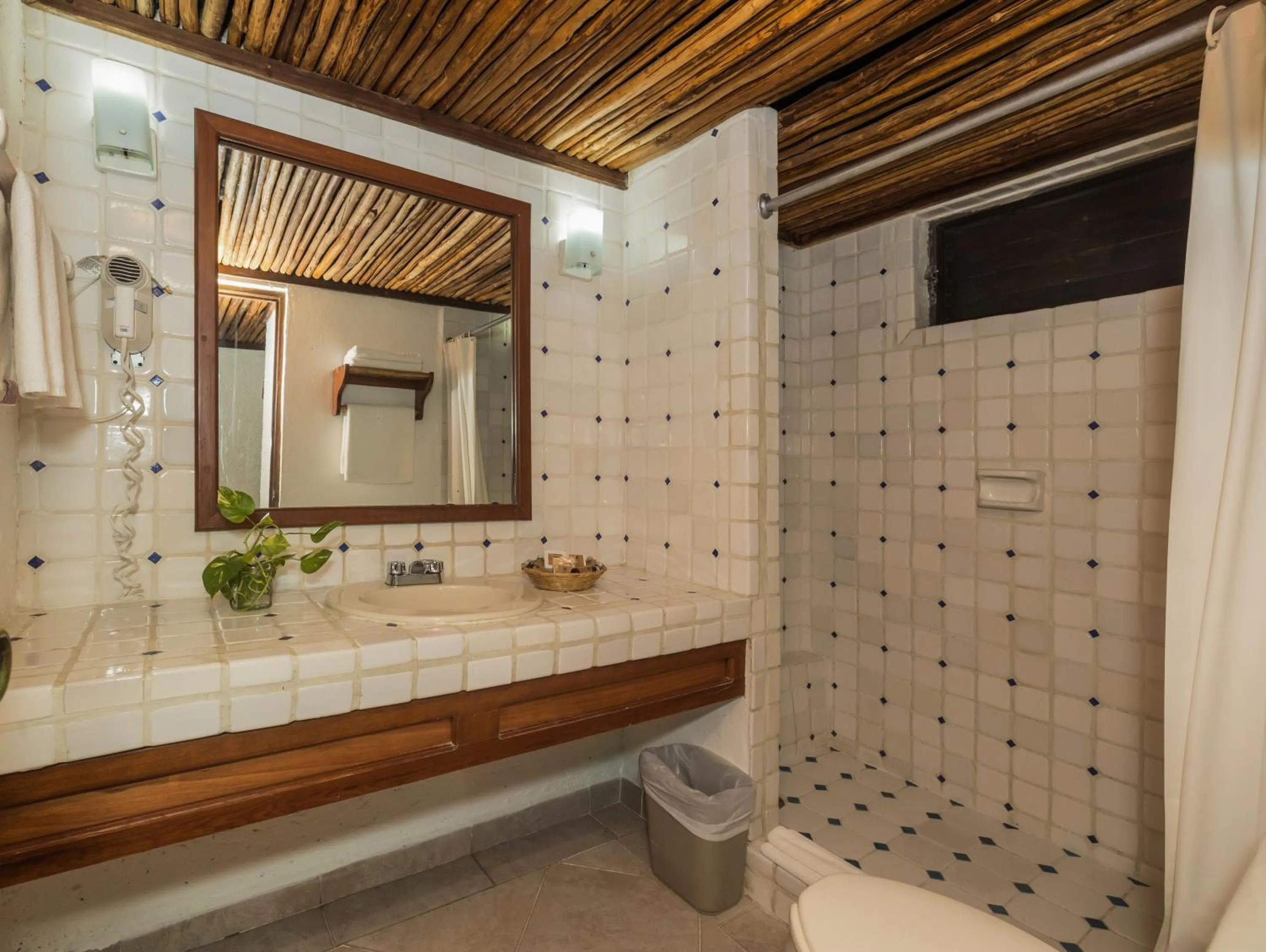 Casa del Mar Cozumel Hotel & Dive Resort with free access to an exclusive beach club