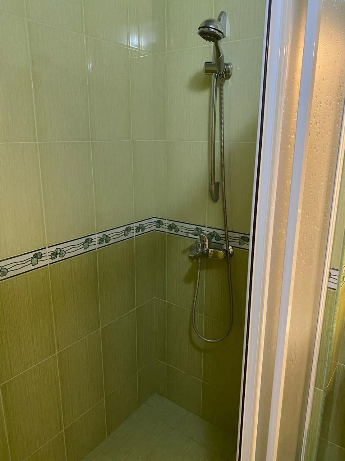 Shower in Hotel Pavo