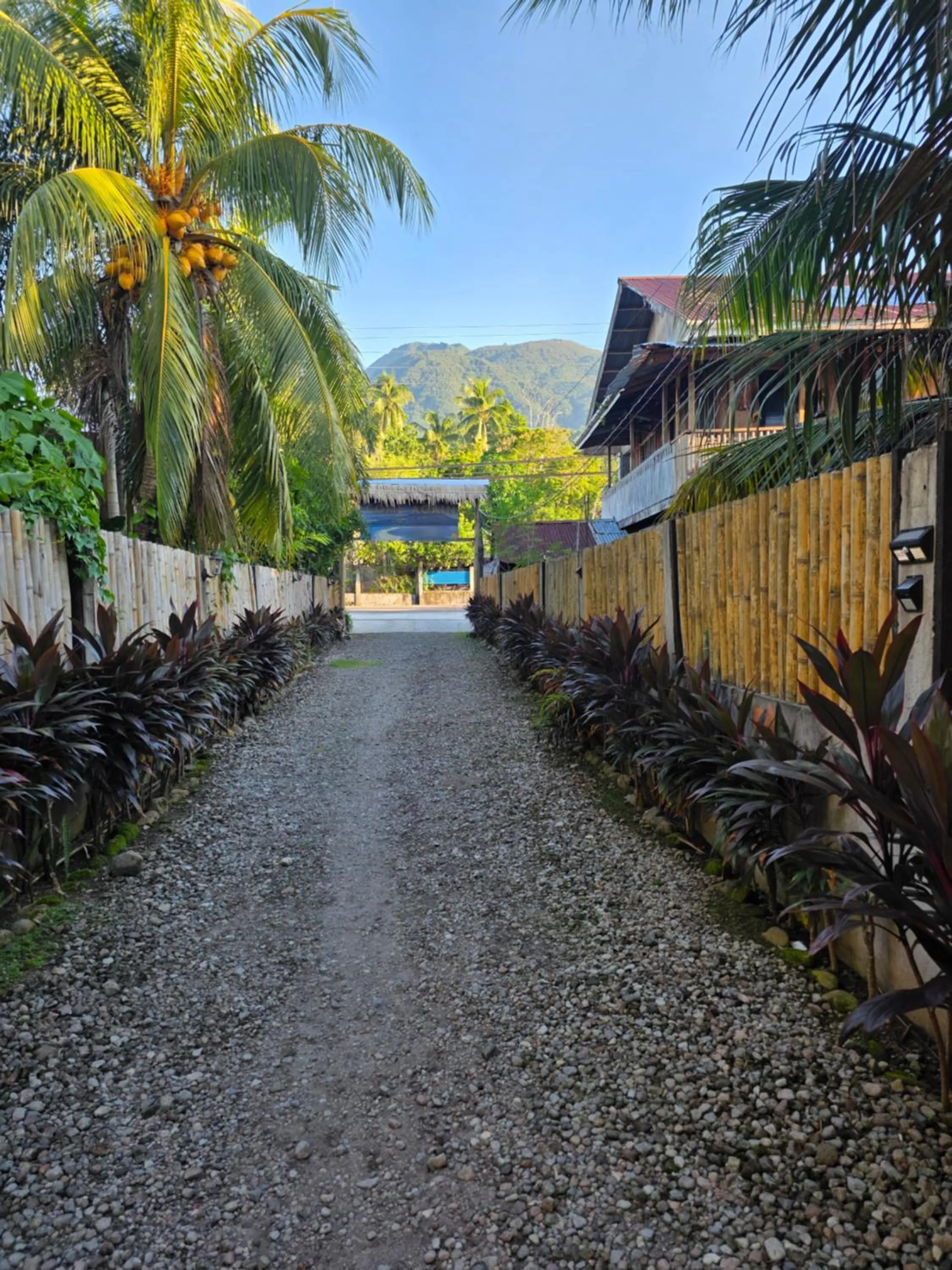 Marianita's cottages