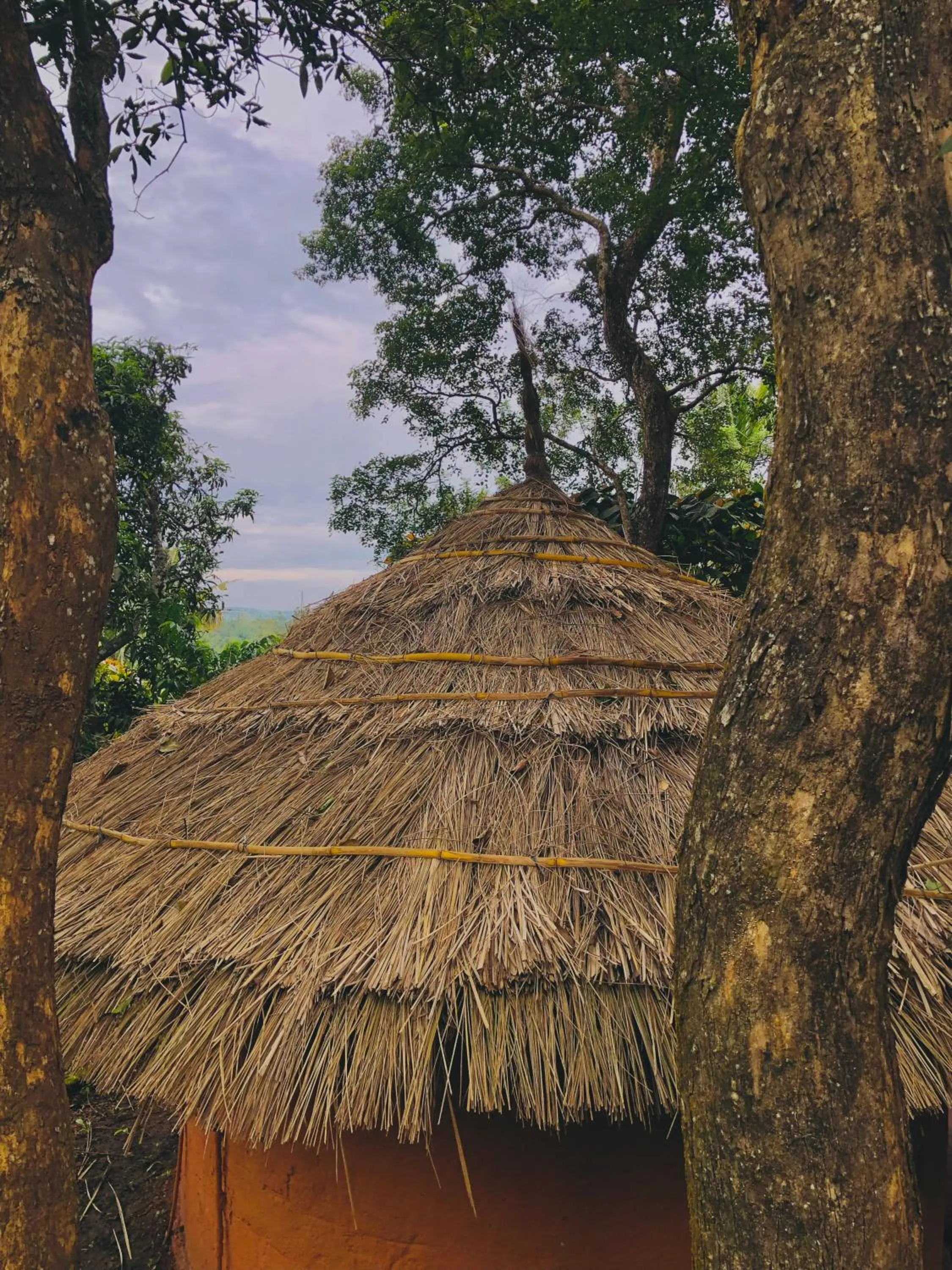 View (from property/room) in Punarjani Ayurvedic Resorts