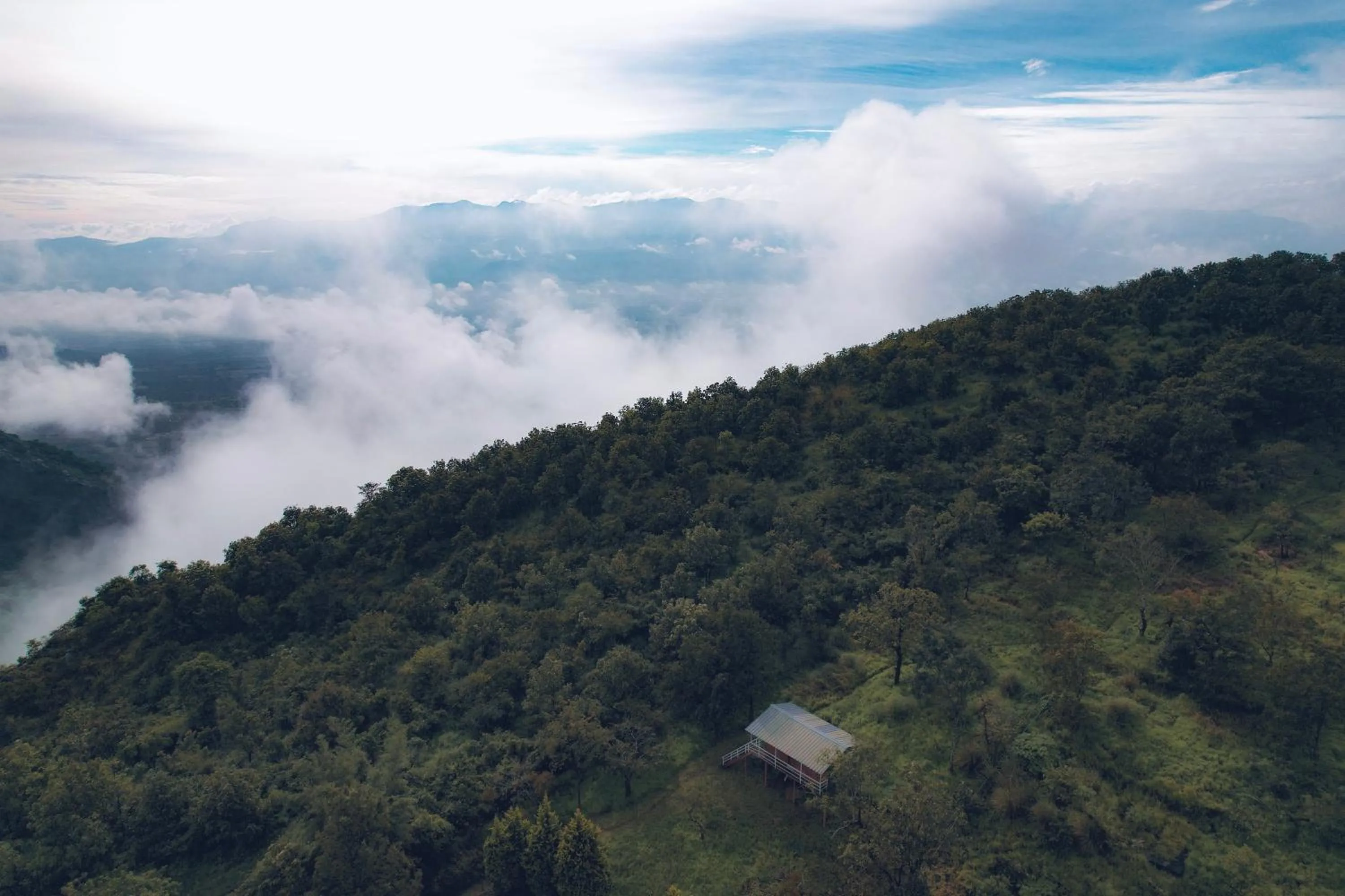 View (from property/room) in Punarjani Ayurvedic Resorts