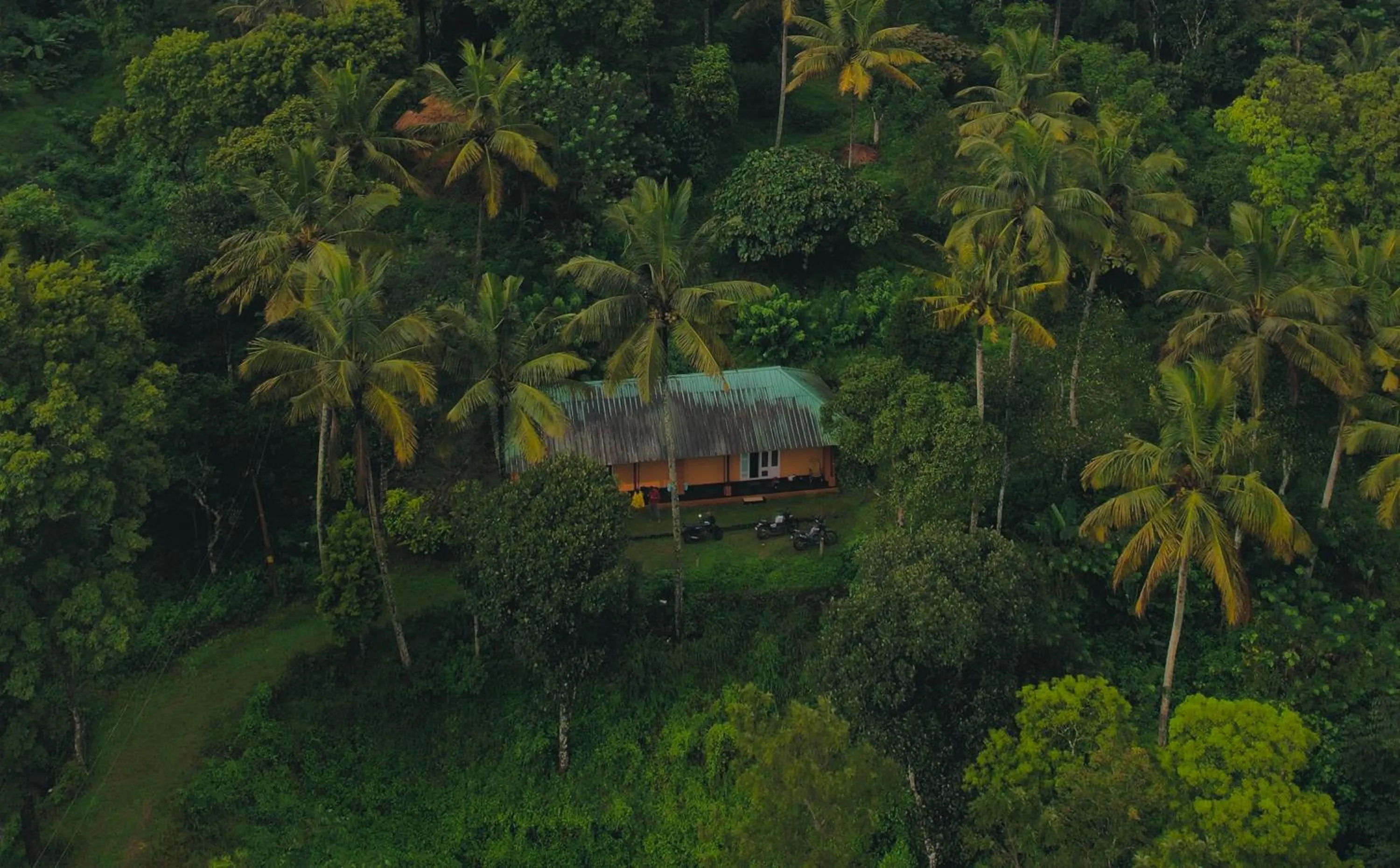 View (from property/room) in Punarjani Ayurvedic Resorts
