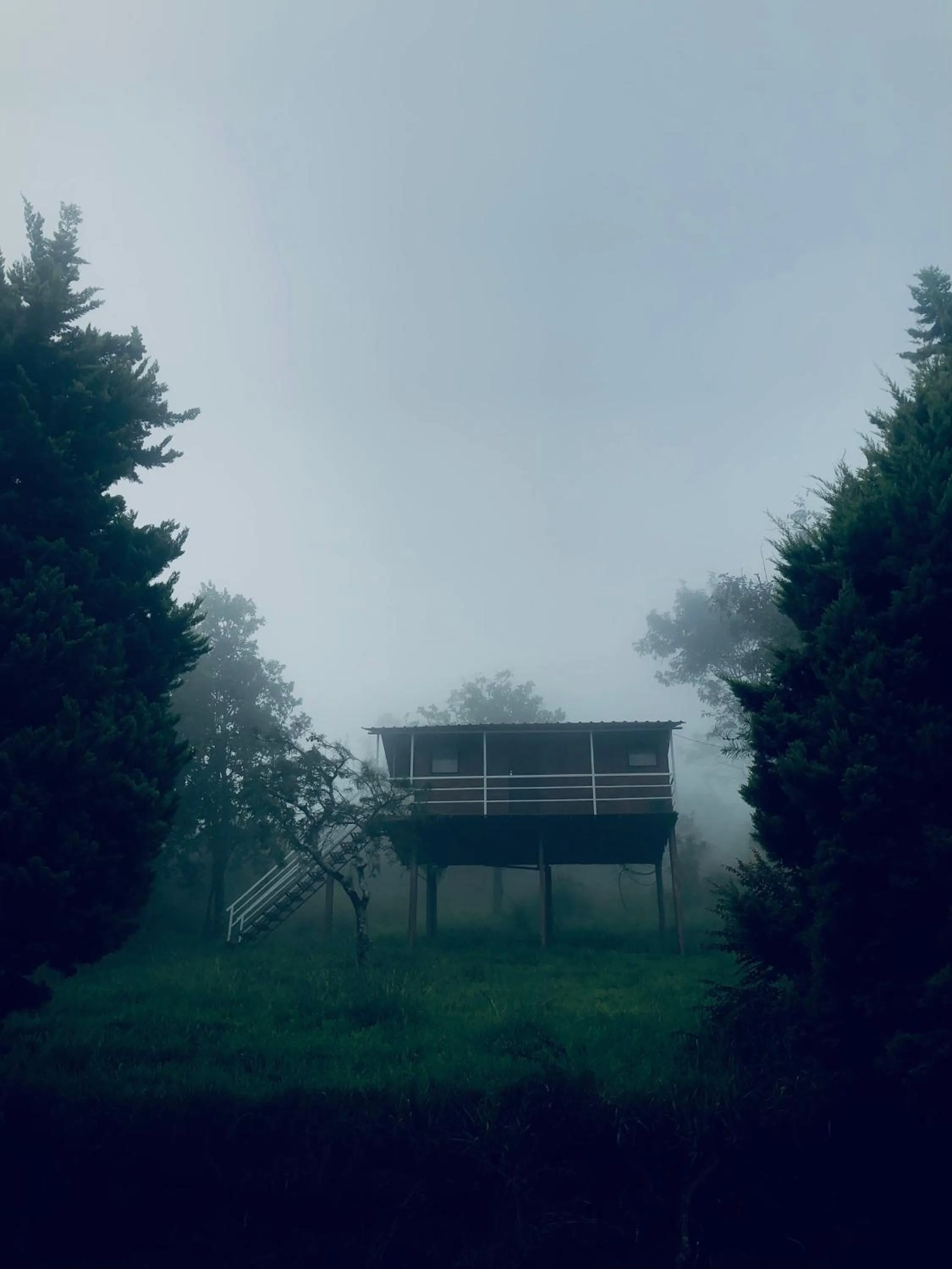 View (from property/room) in Punarjani Ayurvedic Resorts