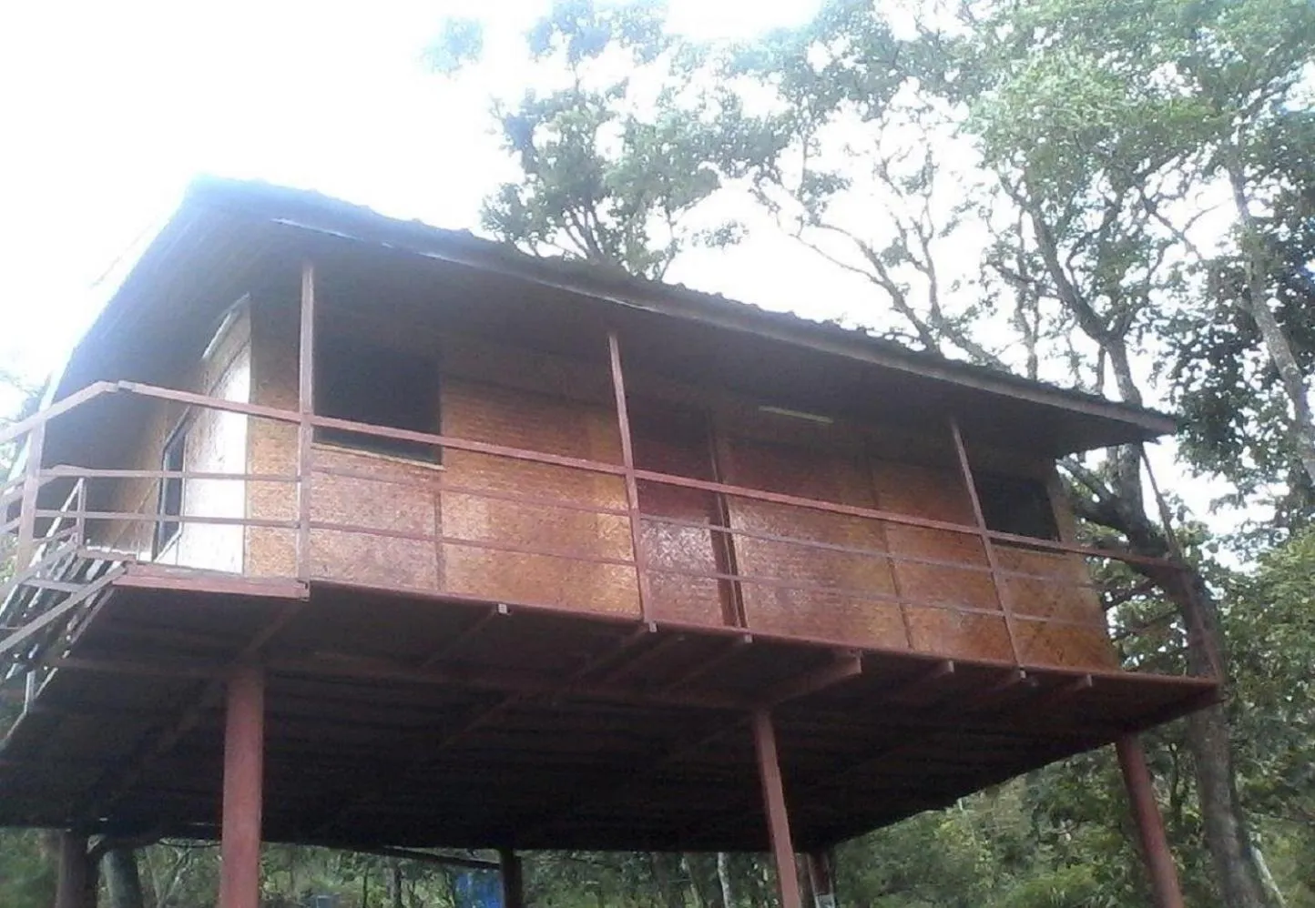Balcony/Terrace in Punarjani Ayurvedic Resorts