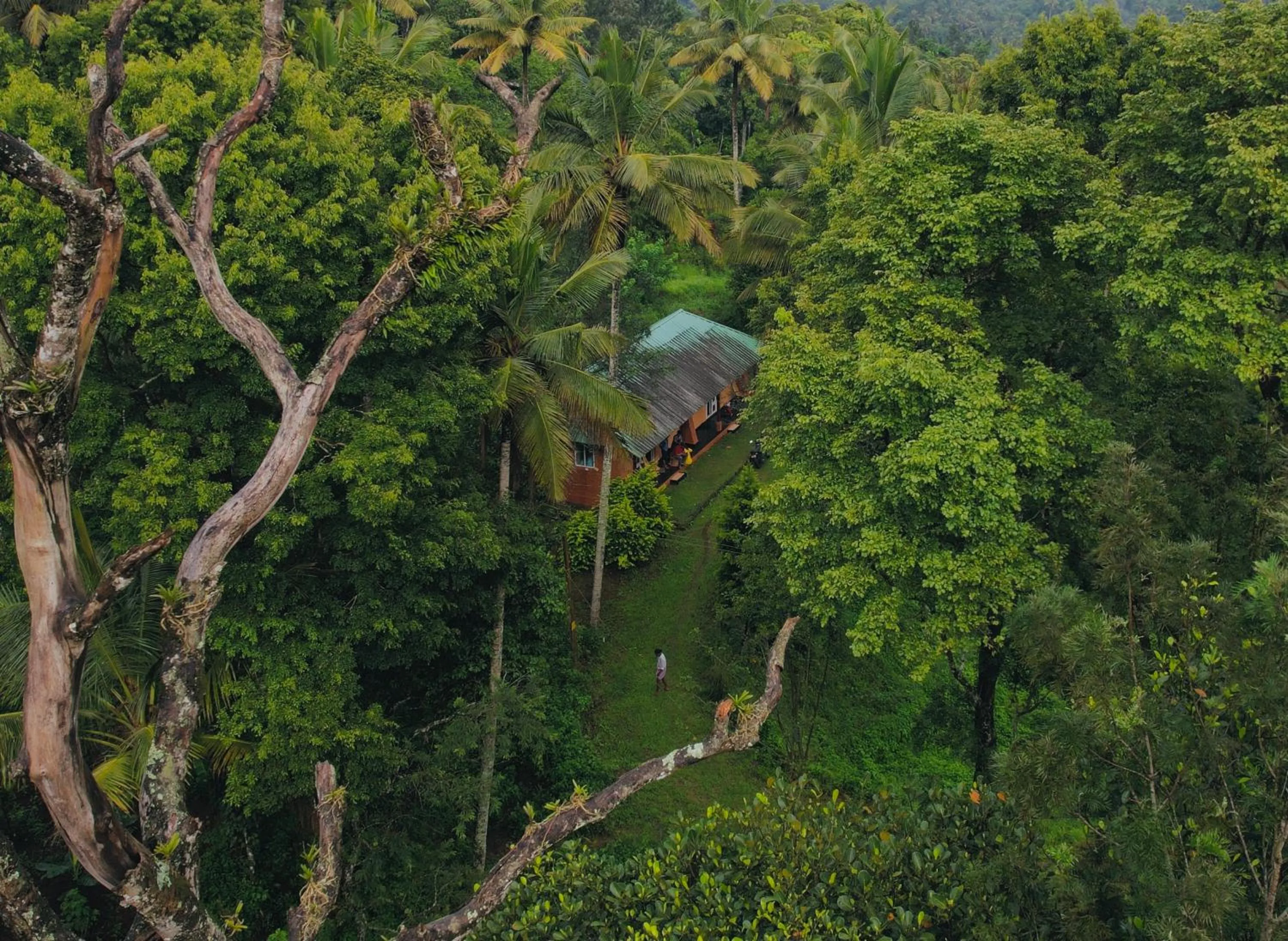 View (from property/room) in Punarjani Ayurvedic Resorts