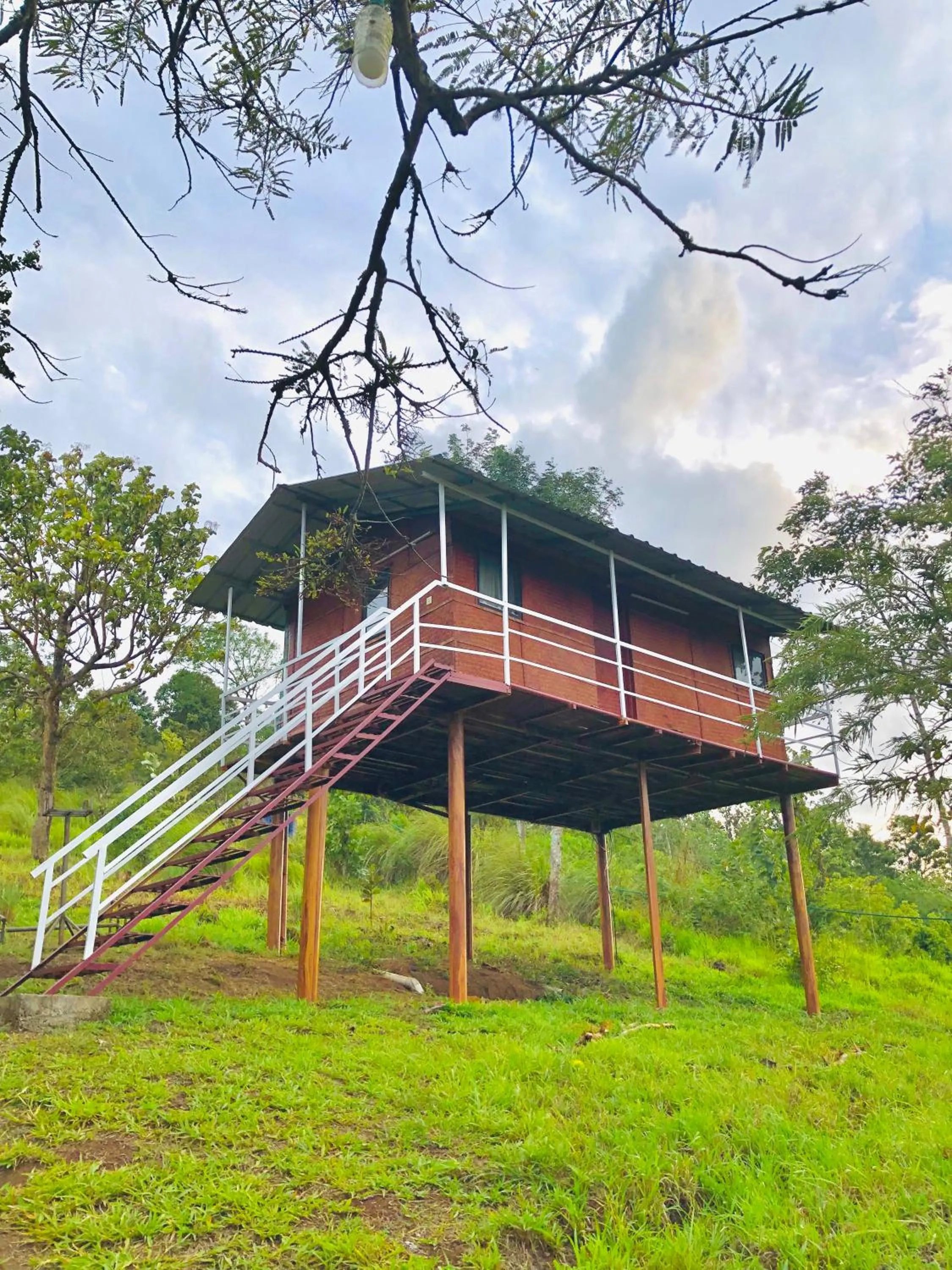 View (from property/room) in Punarjani Ayurvedic Resorts