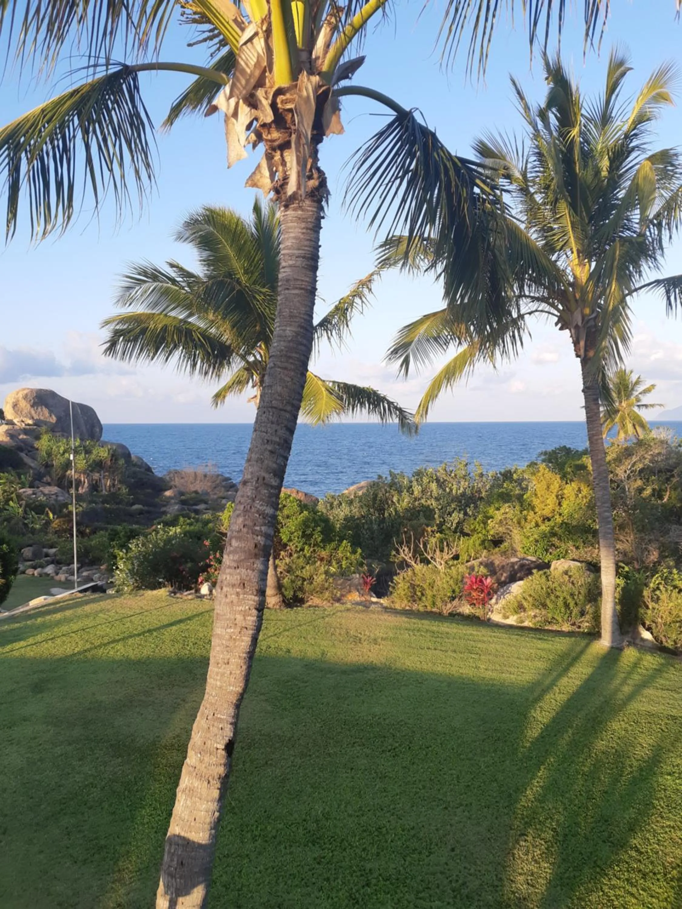 Garden view in Whitsunday Sands Resort