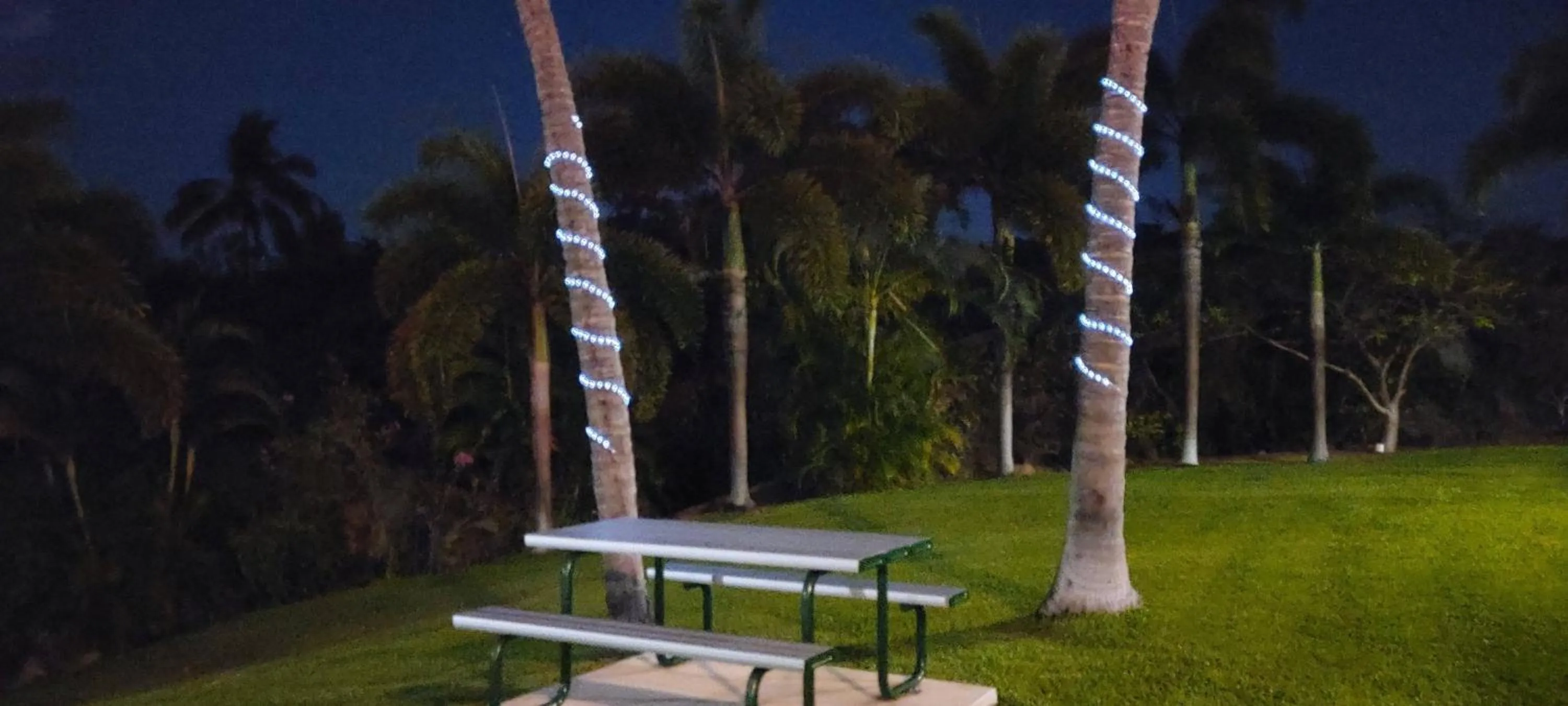 Night in Whitsunday Sands Resort