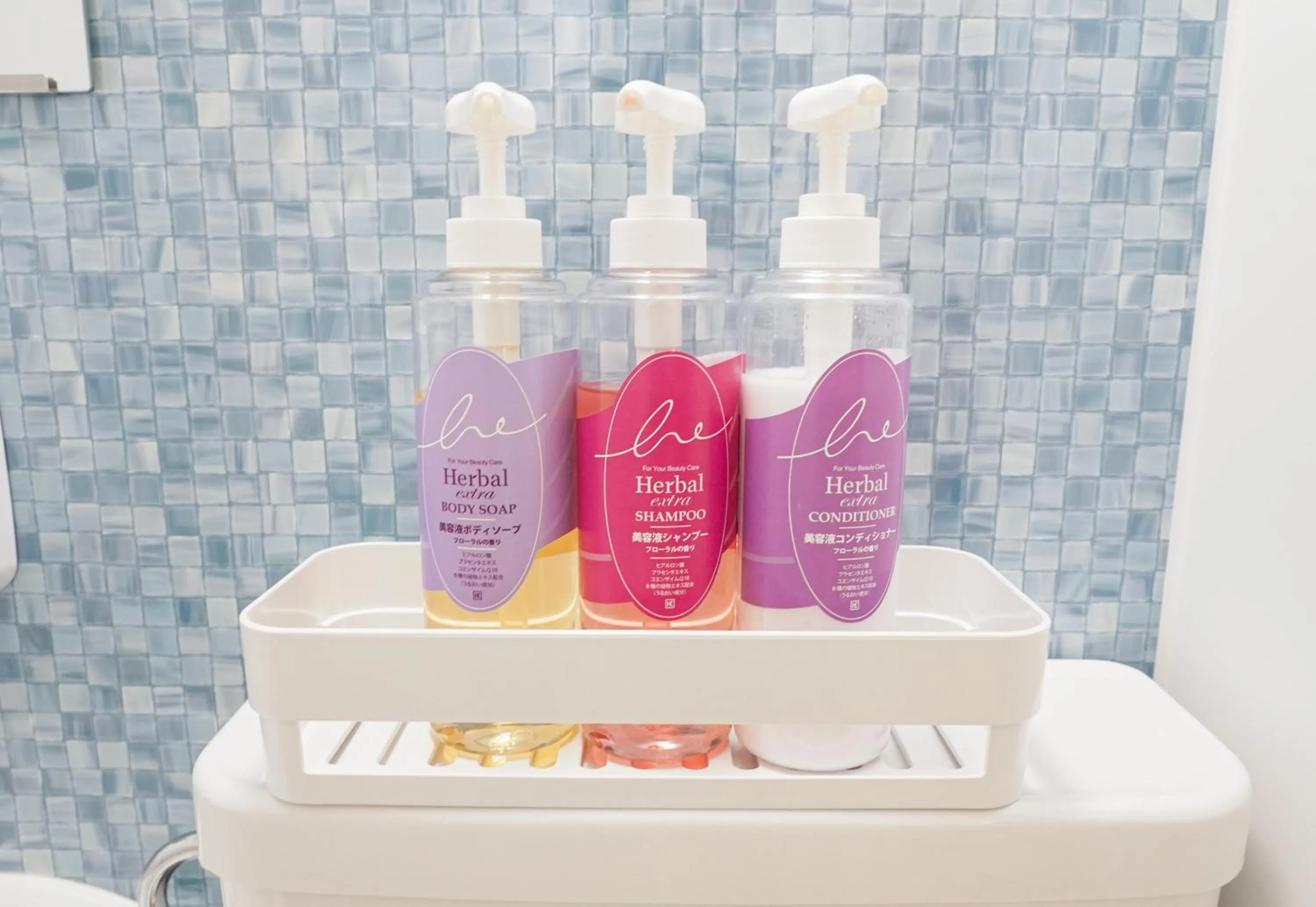 Area and facilities in Lodging Tokyo Shibamata