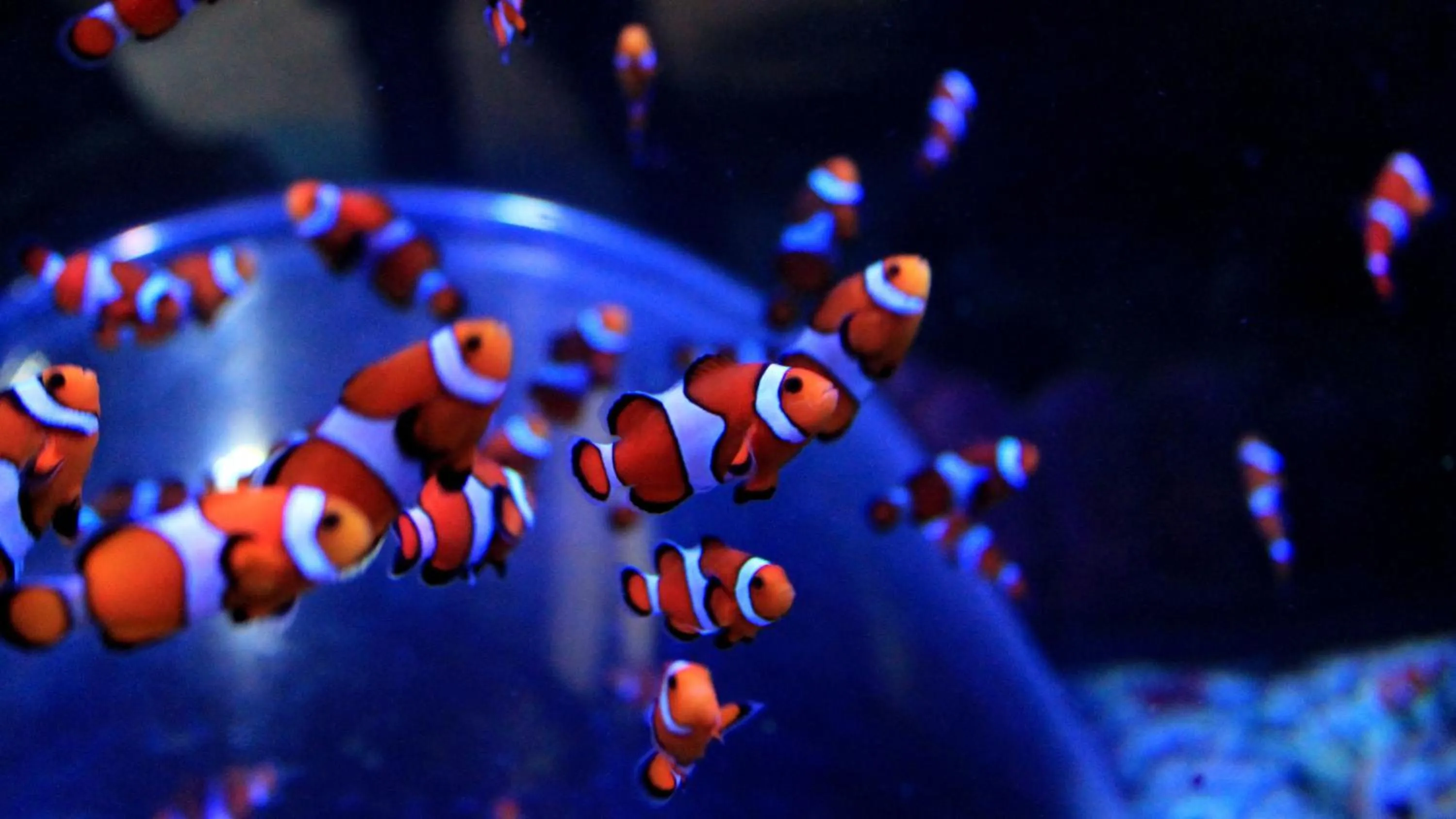 Nearby landmark in Holiday Inn Brighton Seafront by IHG