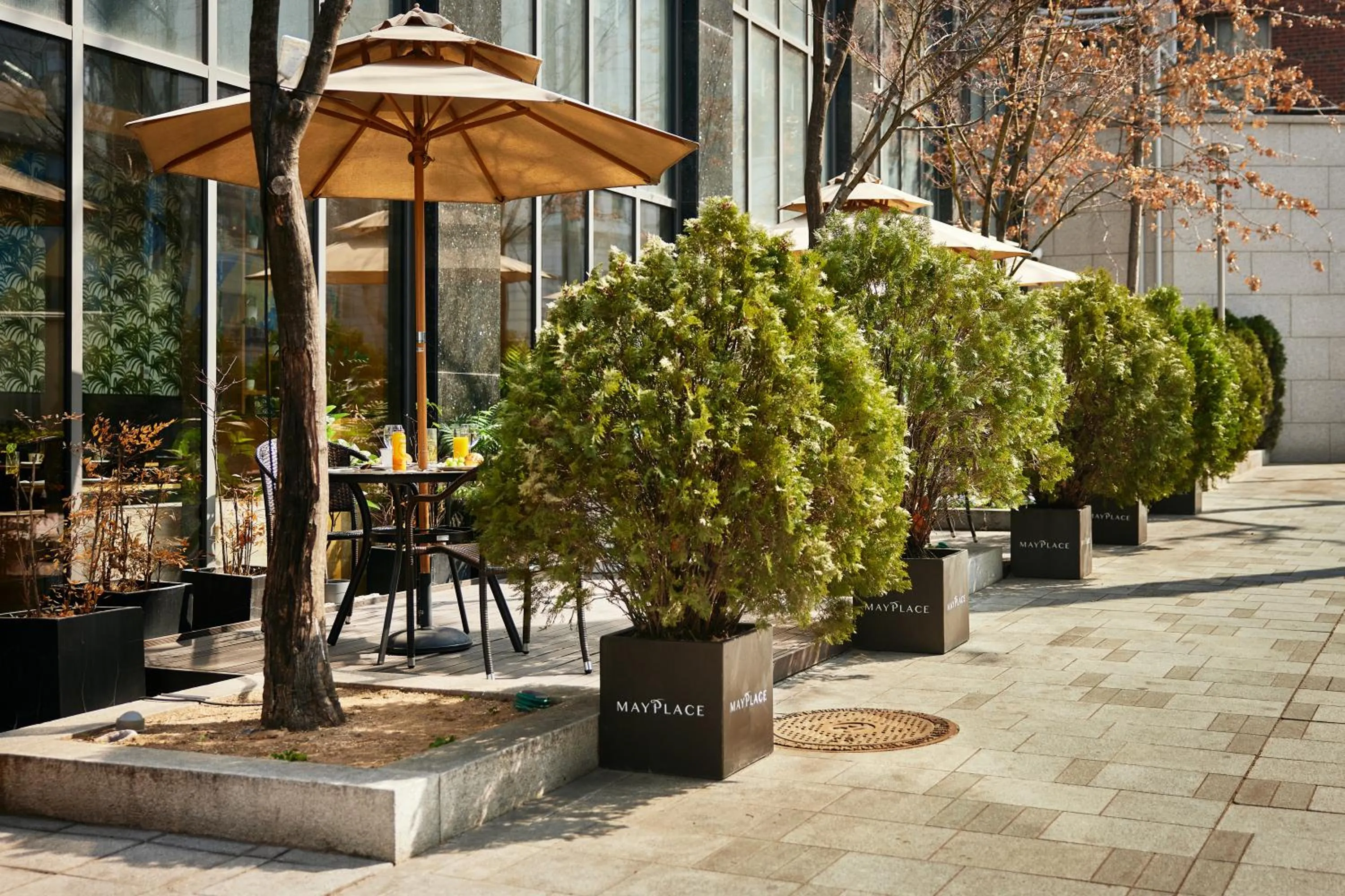 Restaurant/places to eat in Mayplace Hotel