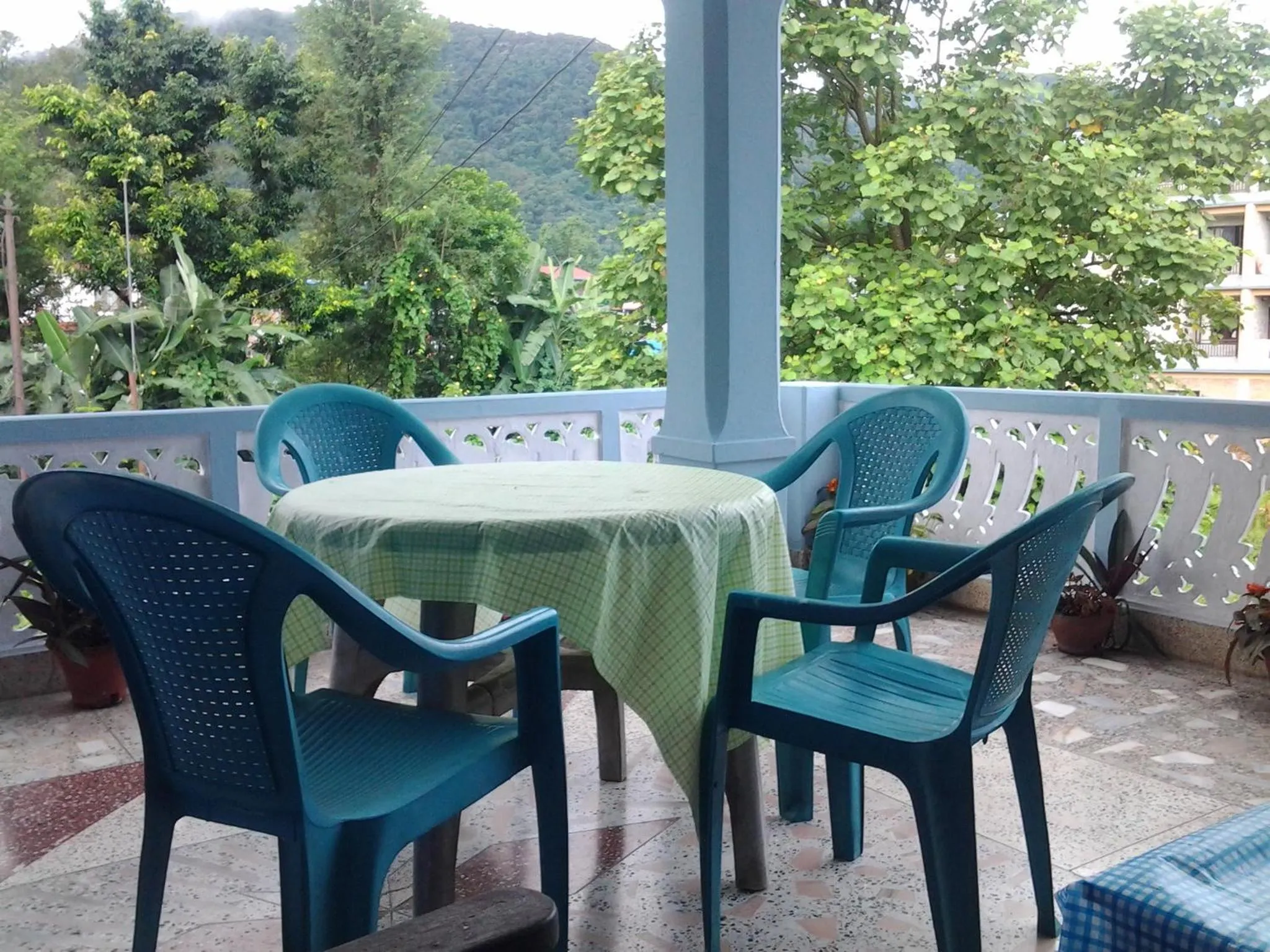 Natural landscape in New United Hotel