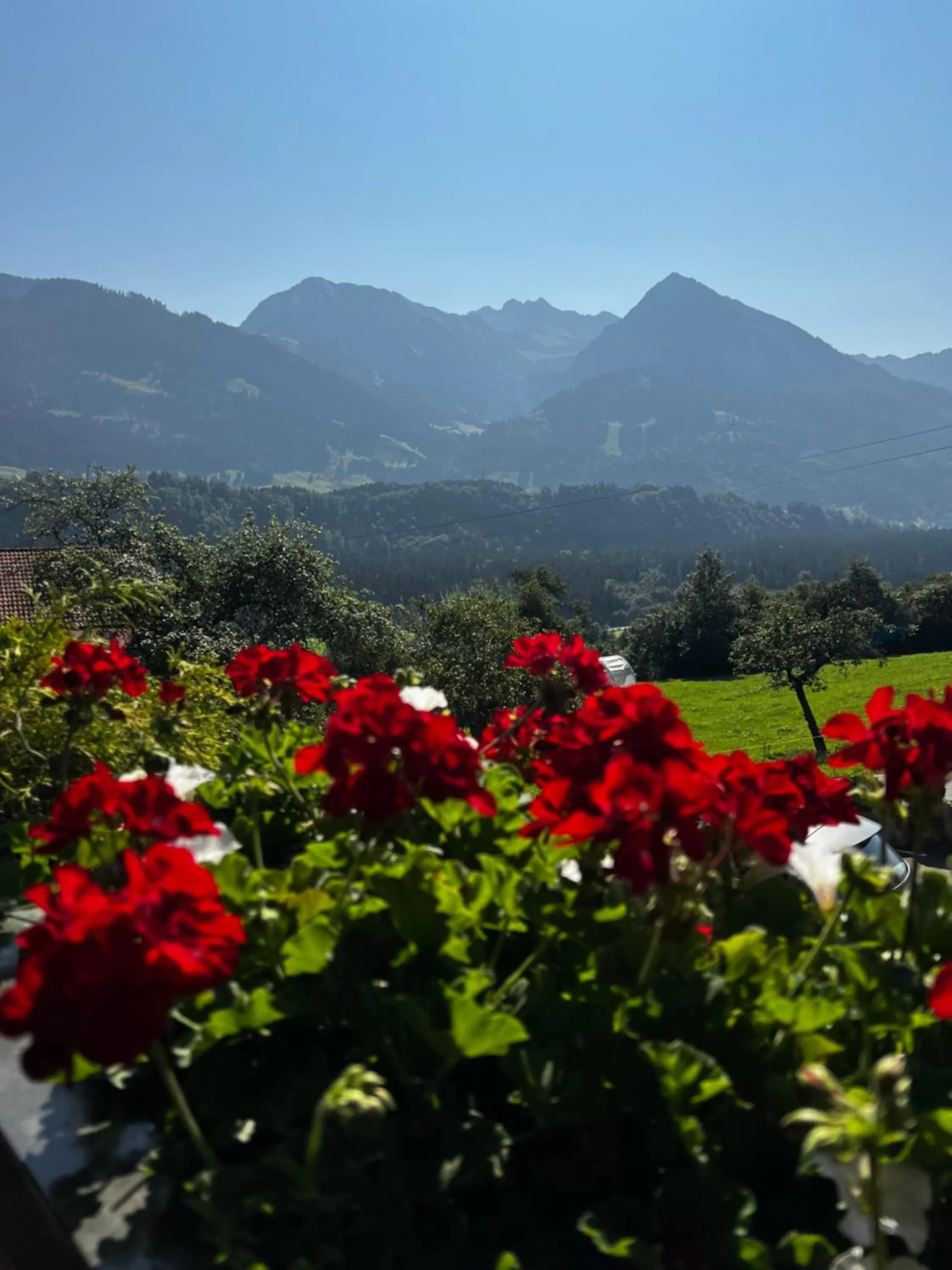 Gästehaus Alpenruh