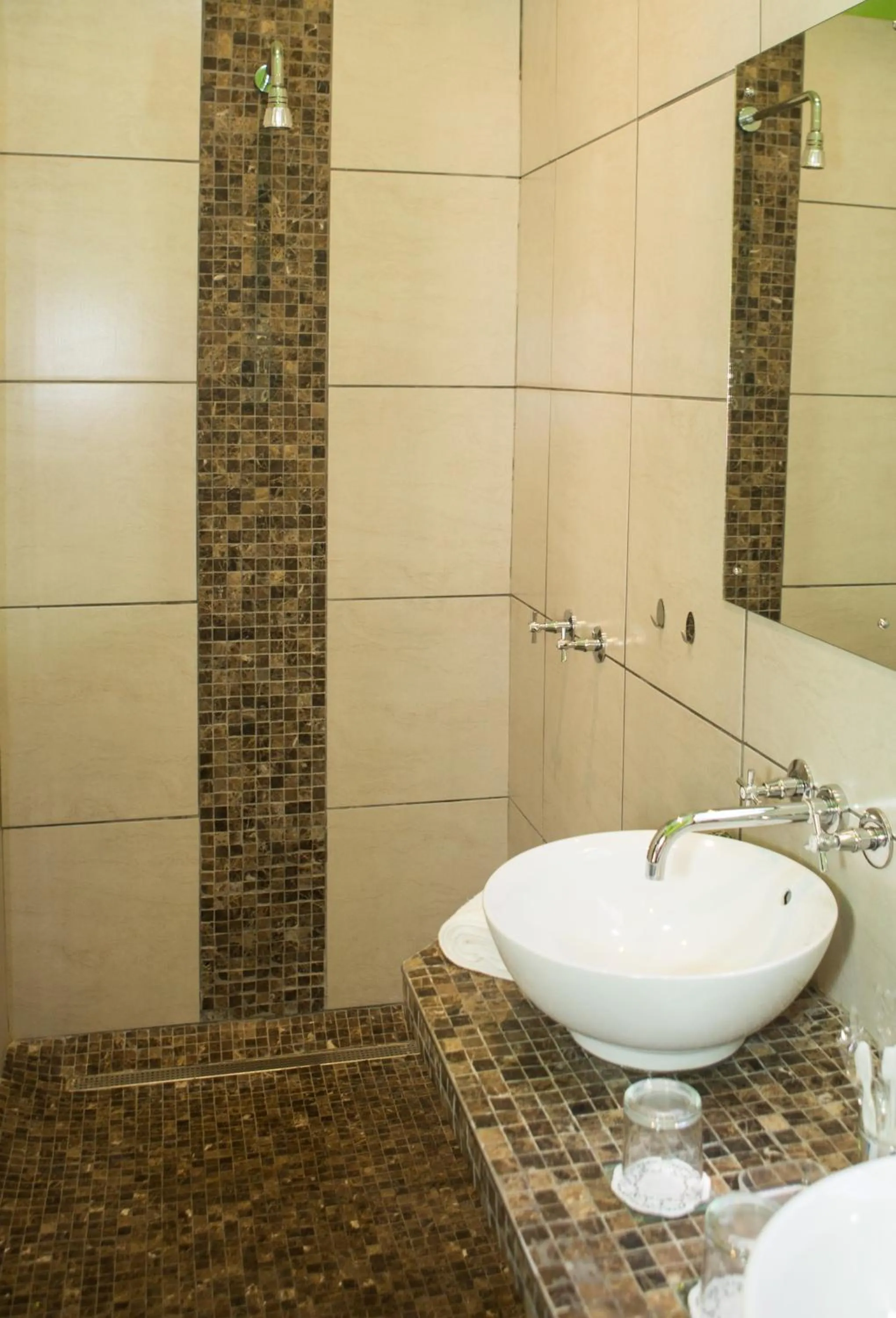 Shower in Apollis Cottage