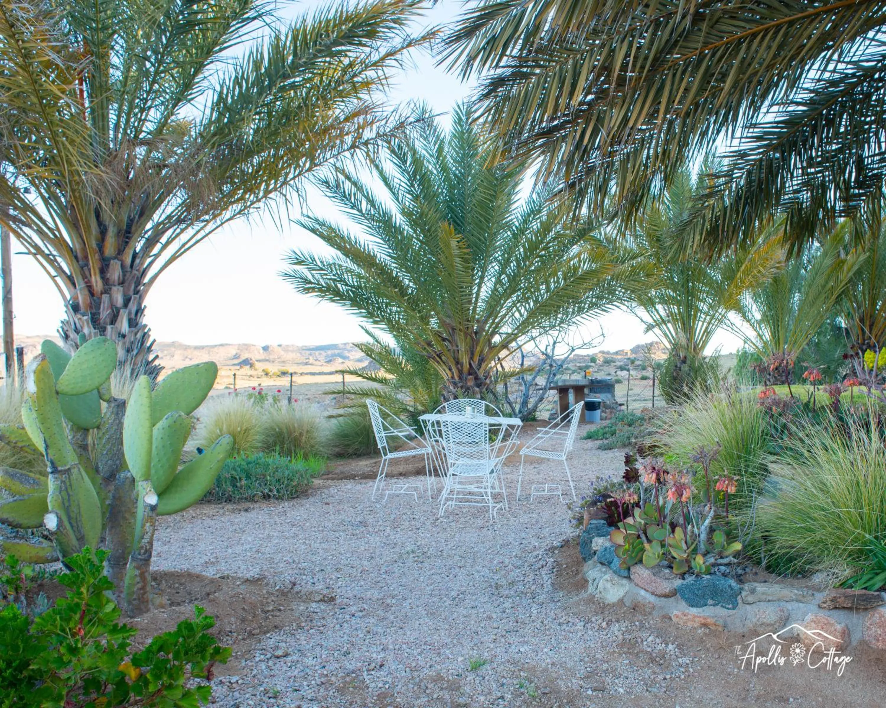 Garden in Apollis Cottage