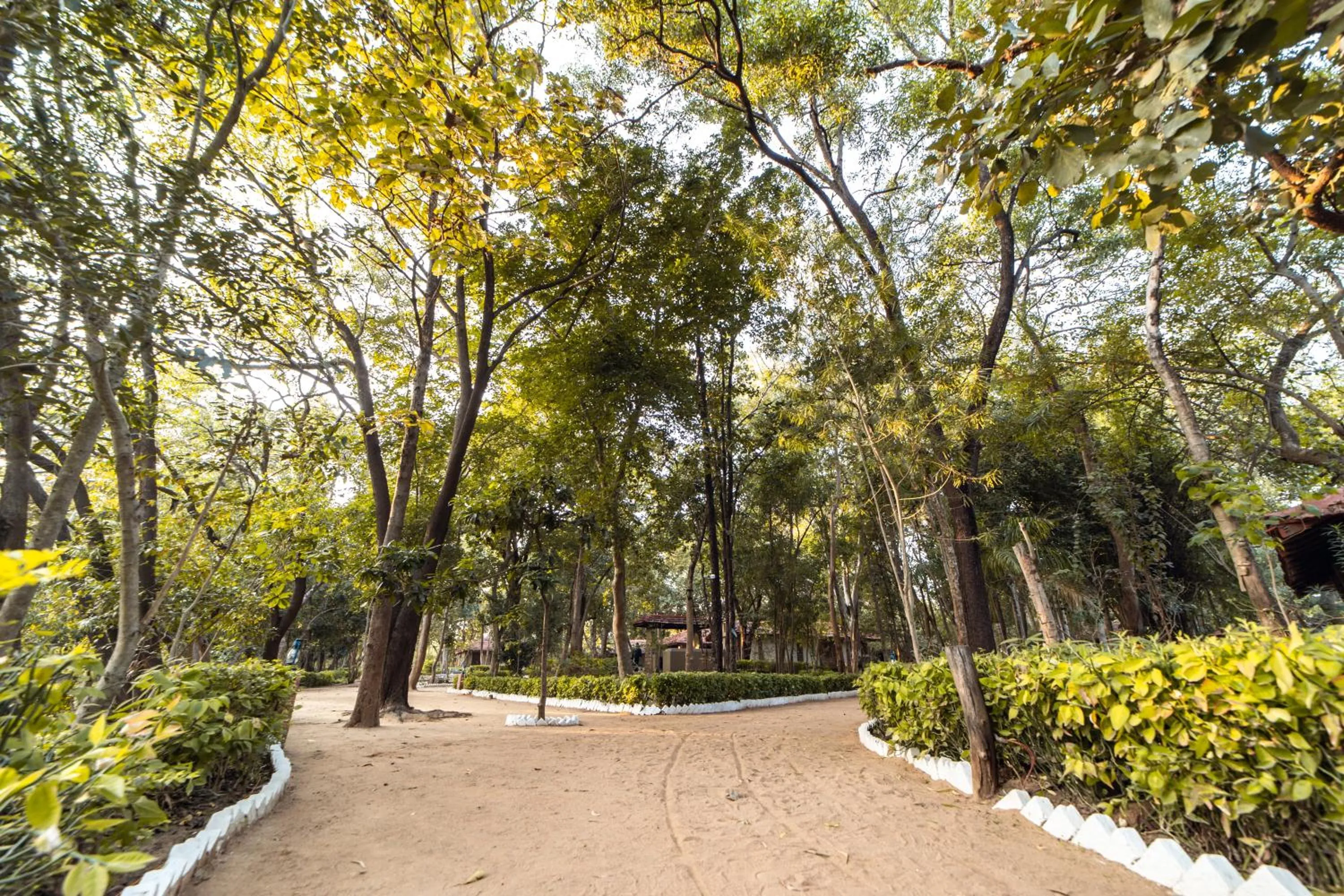 Day in Tiger Trails Resort