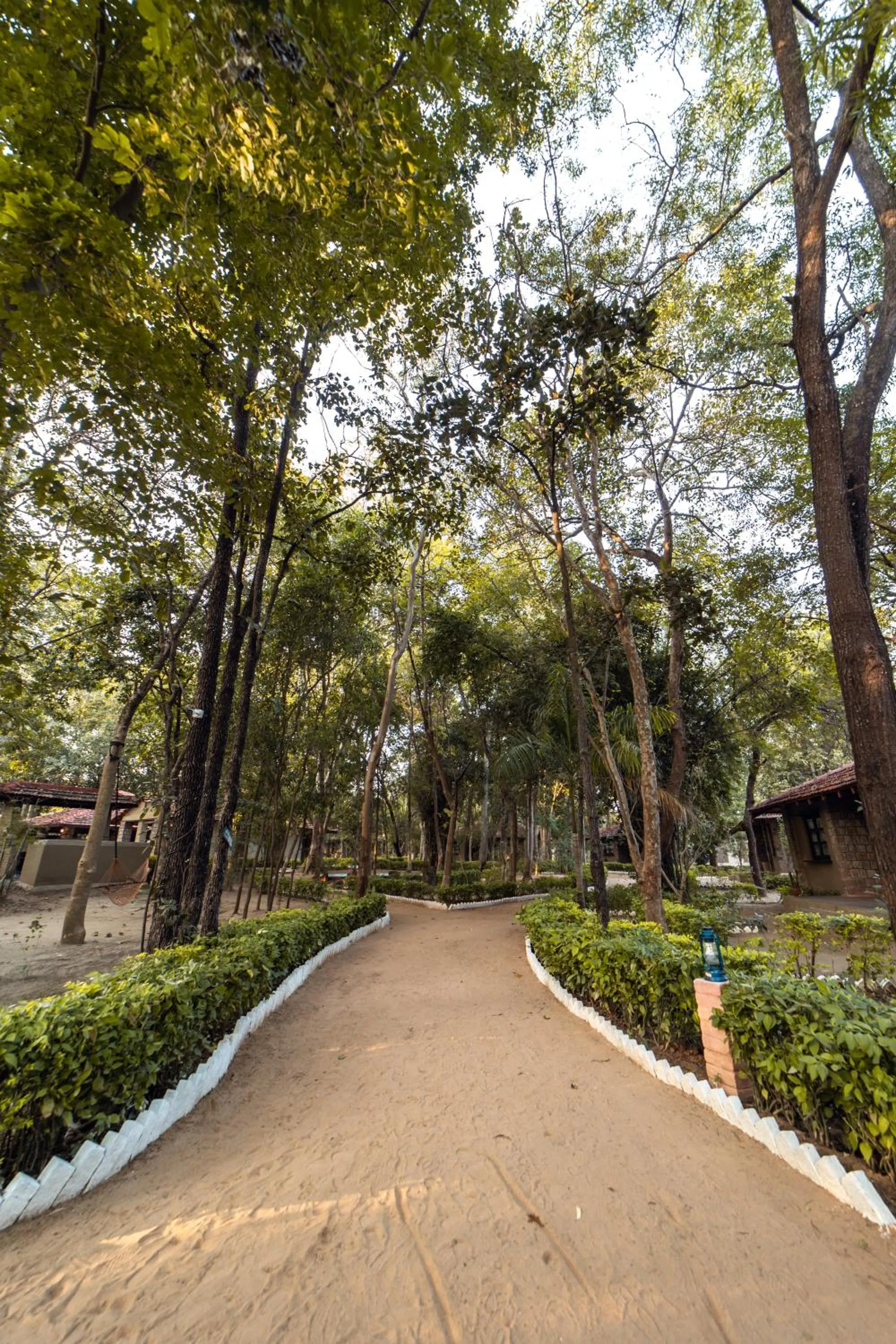 Natural landscape in Tiger Trails Resort