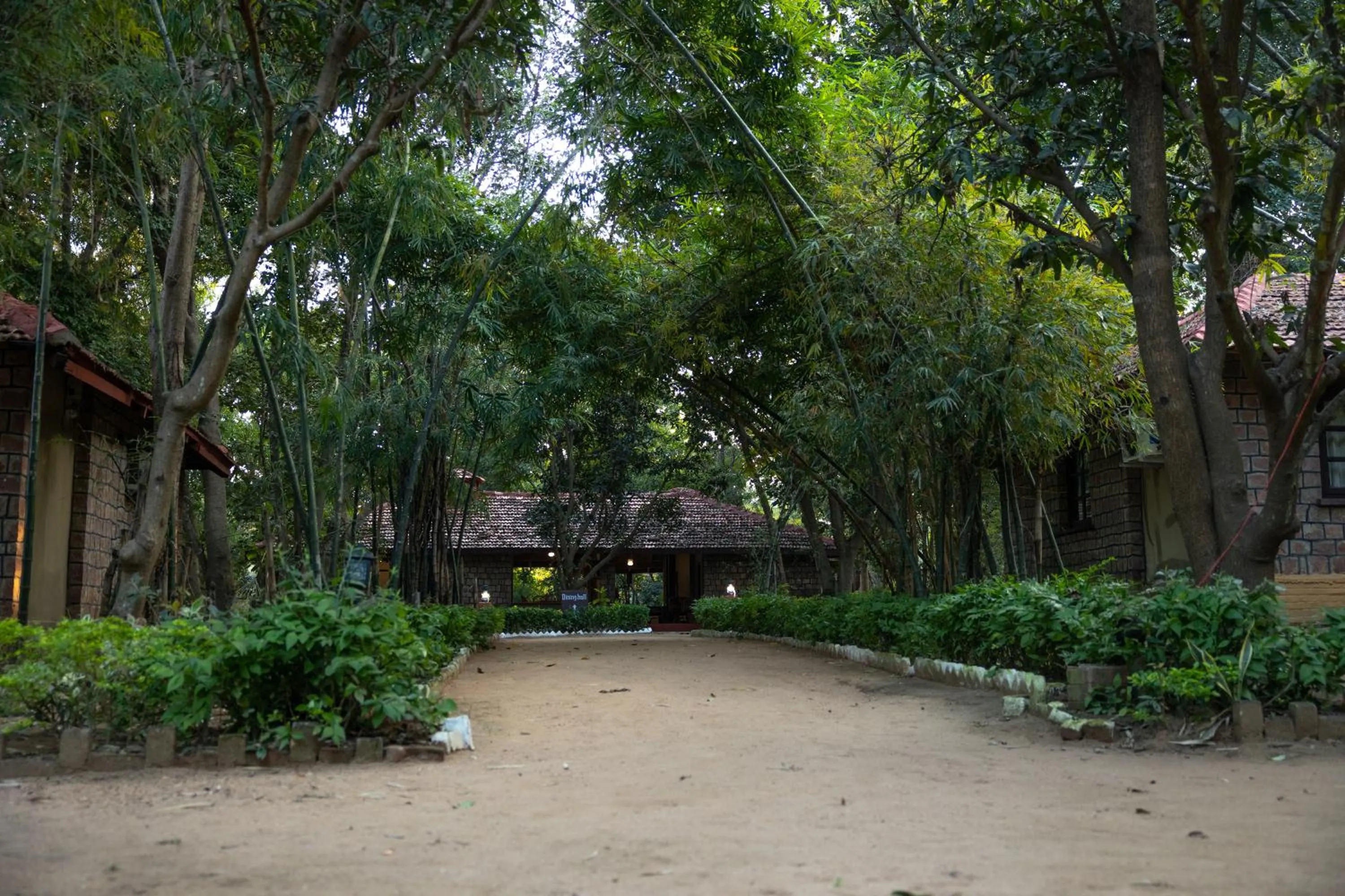 Garden view in Tiger Trails Resort