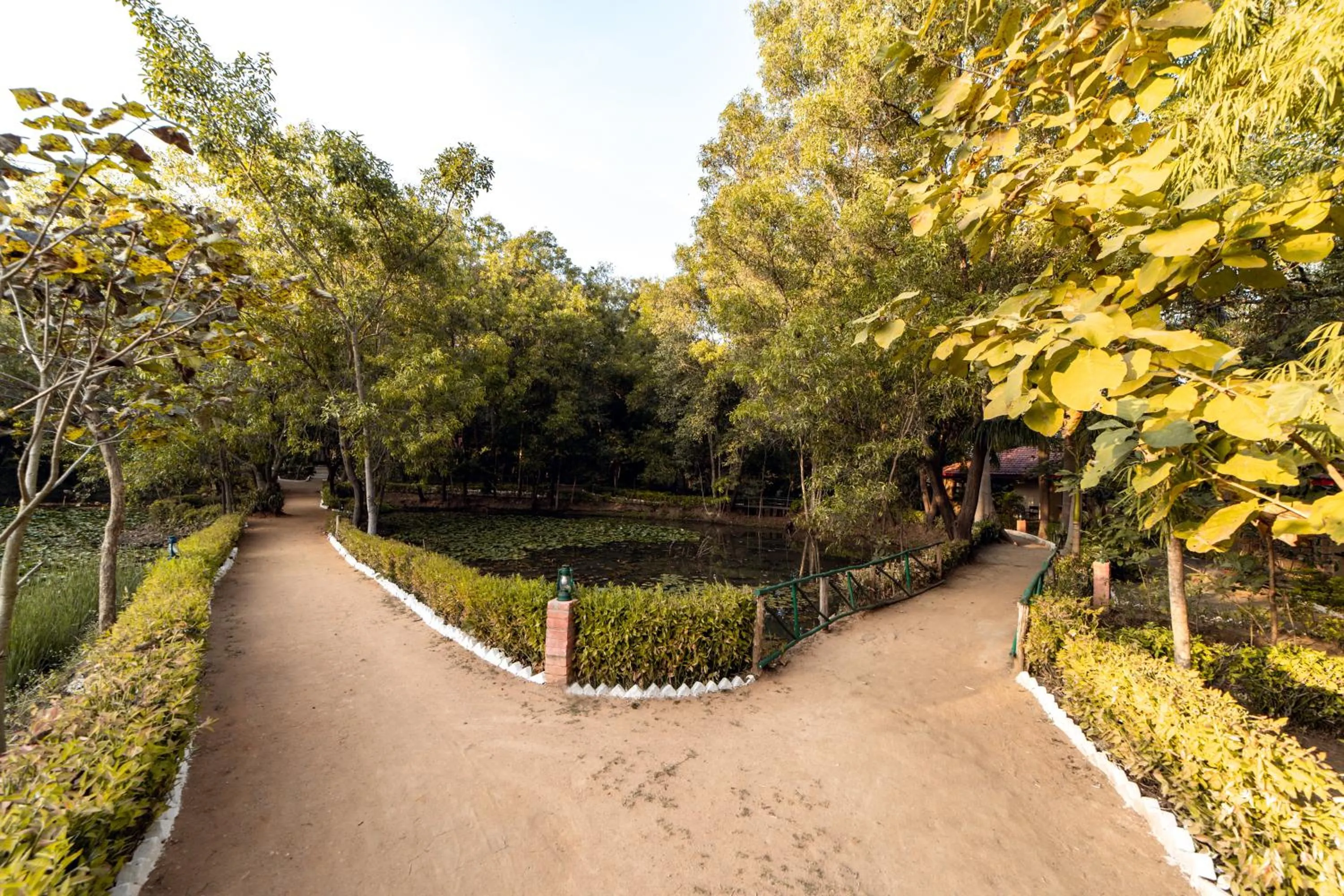 Natural landscape in Tiger Trails Resort