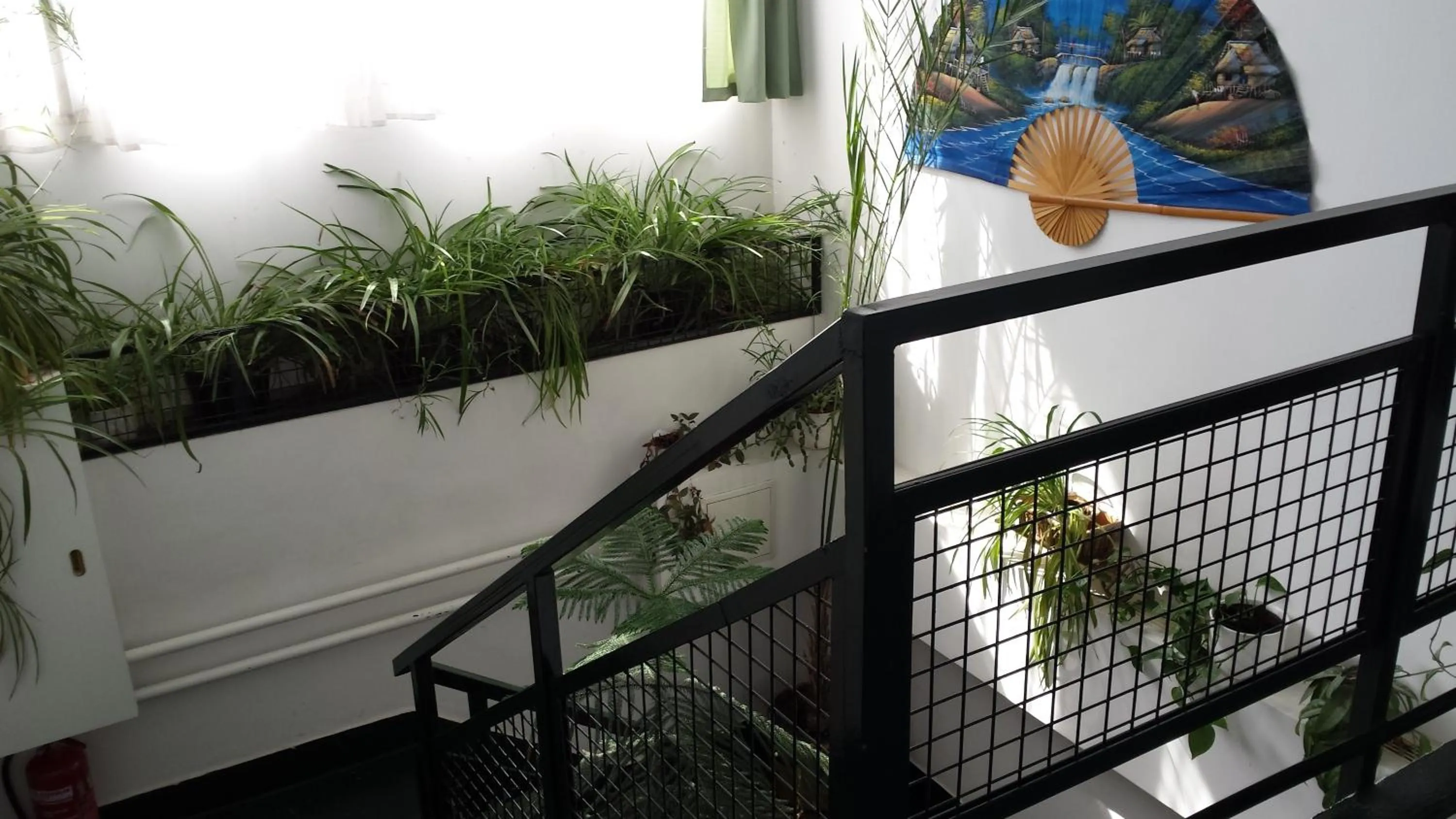 Area and facilities in Bélkő Panzió