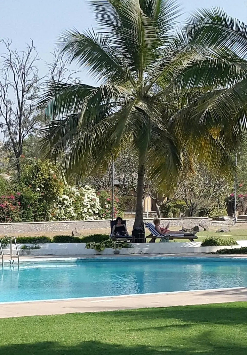 Pool view in The Meadows Resort and Spa