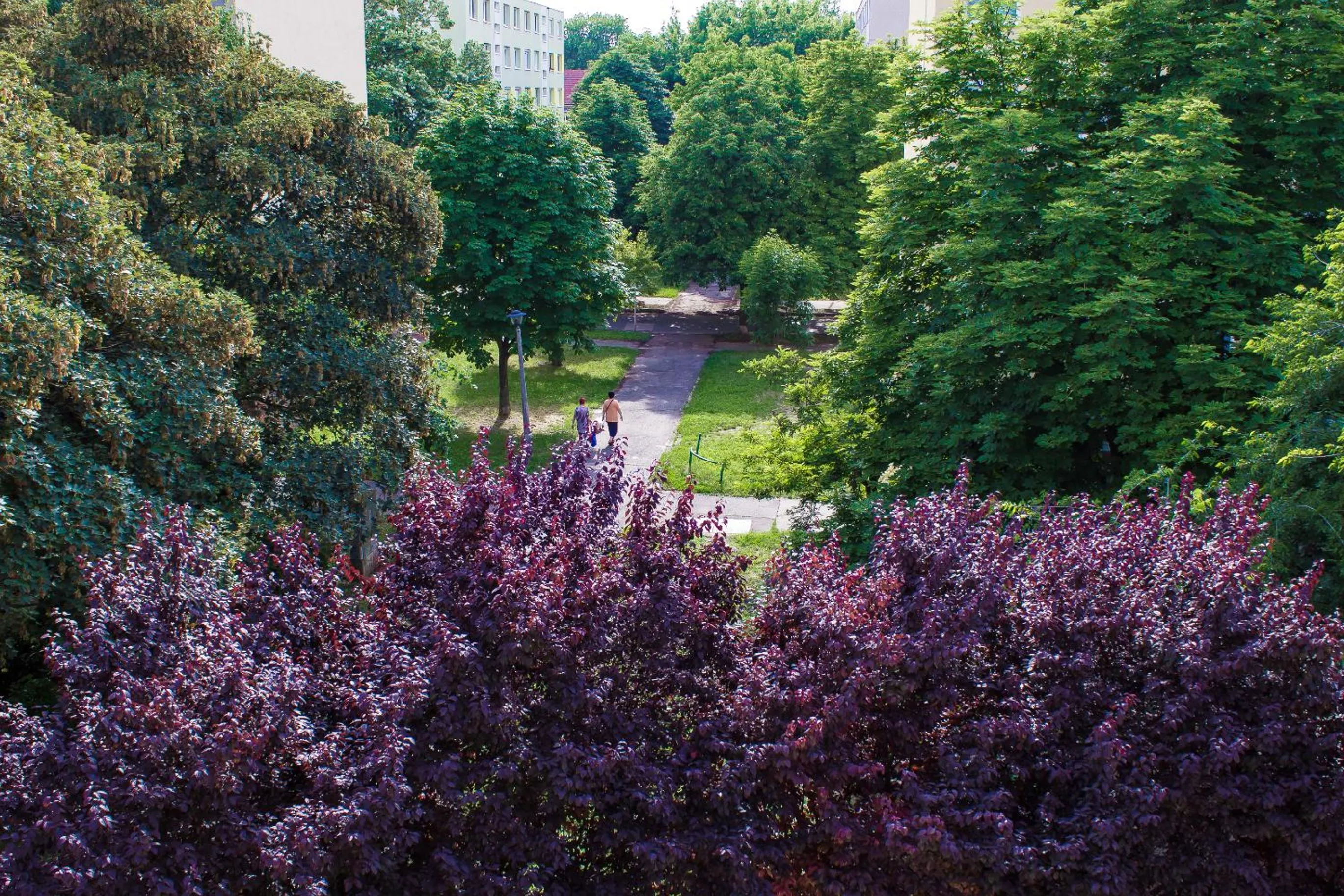 View (from property/room) in Nexus Vendégház Szeged