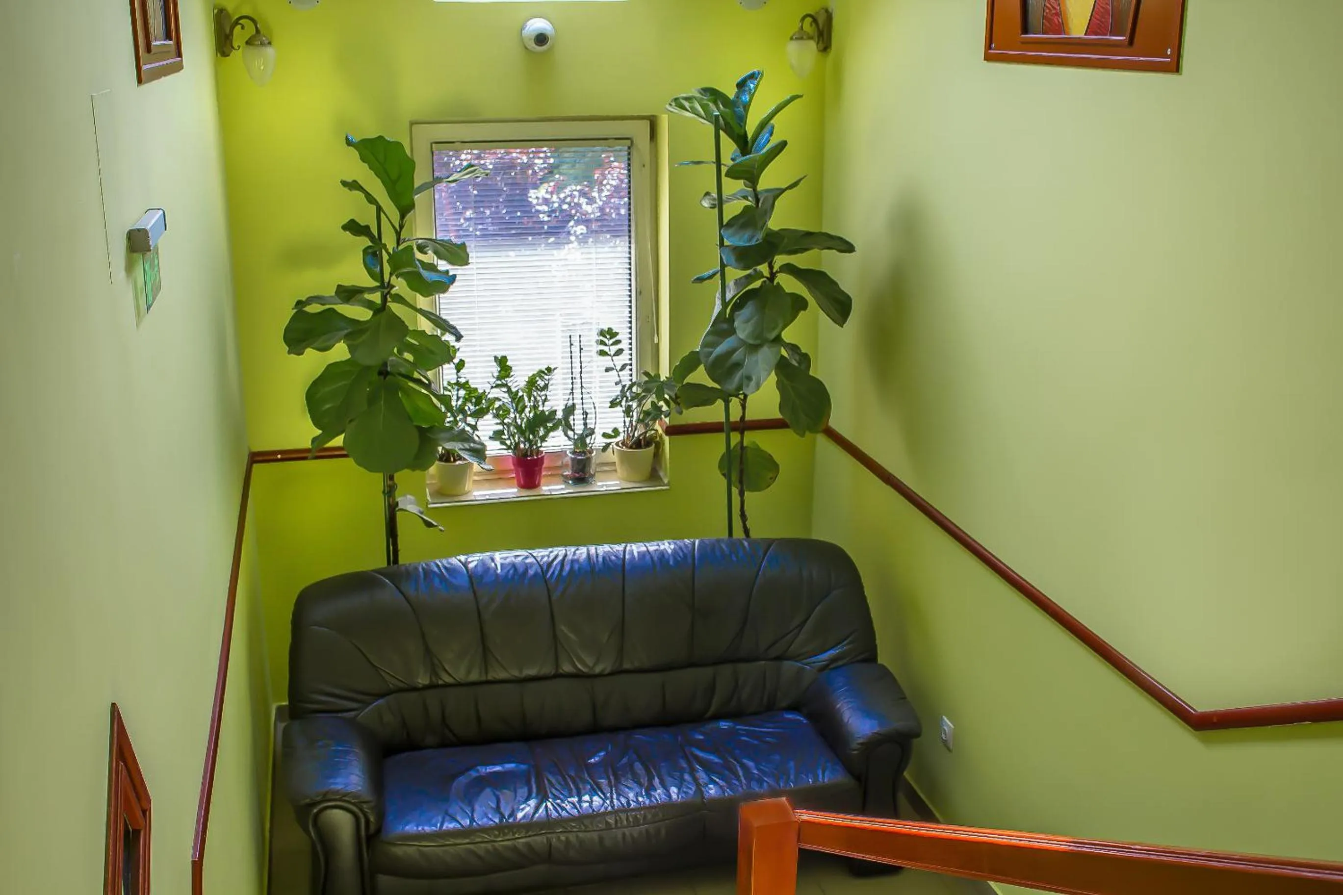 Seating area in Nexus Vendégház Szeged