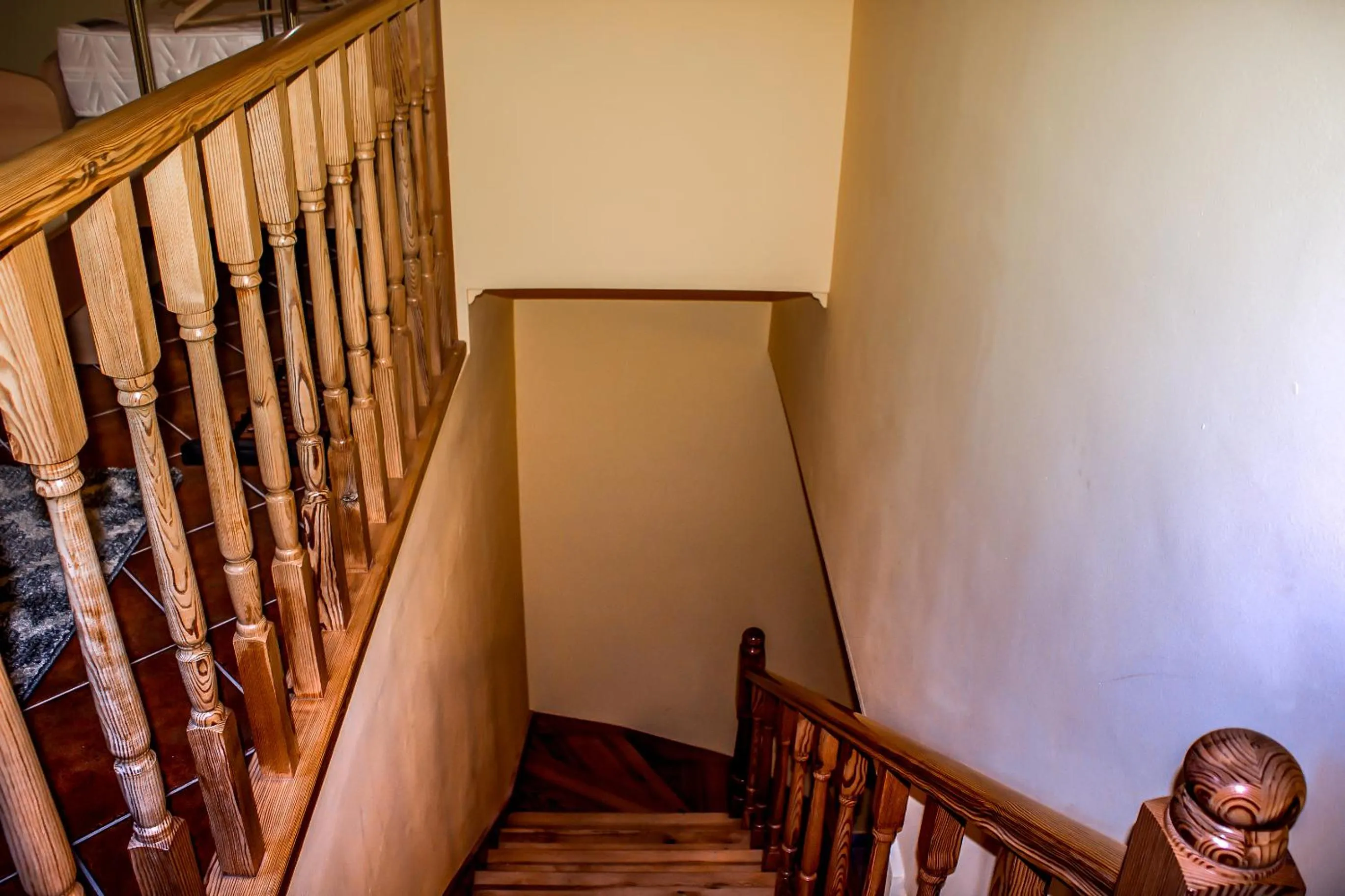 Guests in Nexus Vendégház Szeged