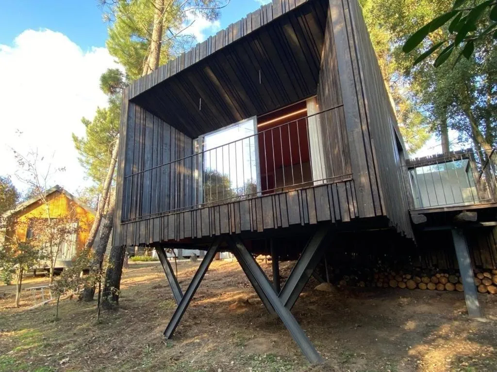 Day in Quinta do Pedregal Hotel & Spa