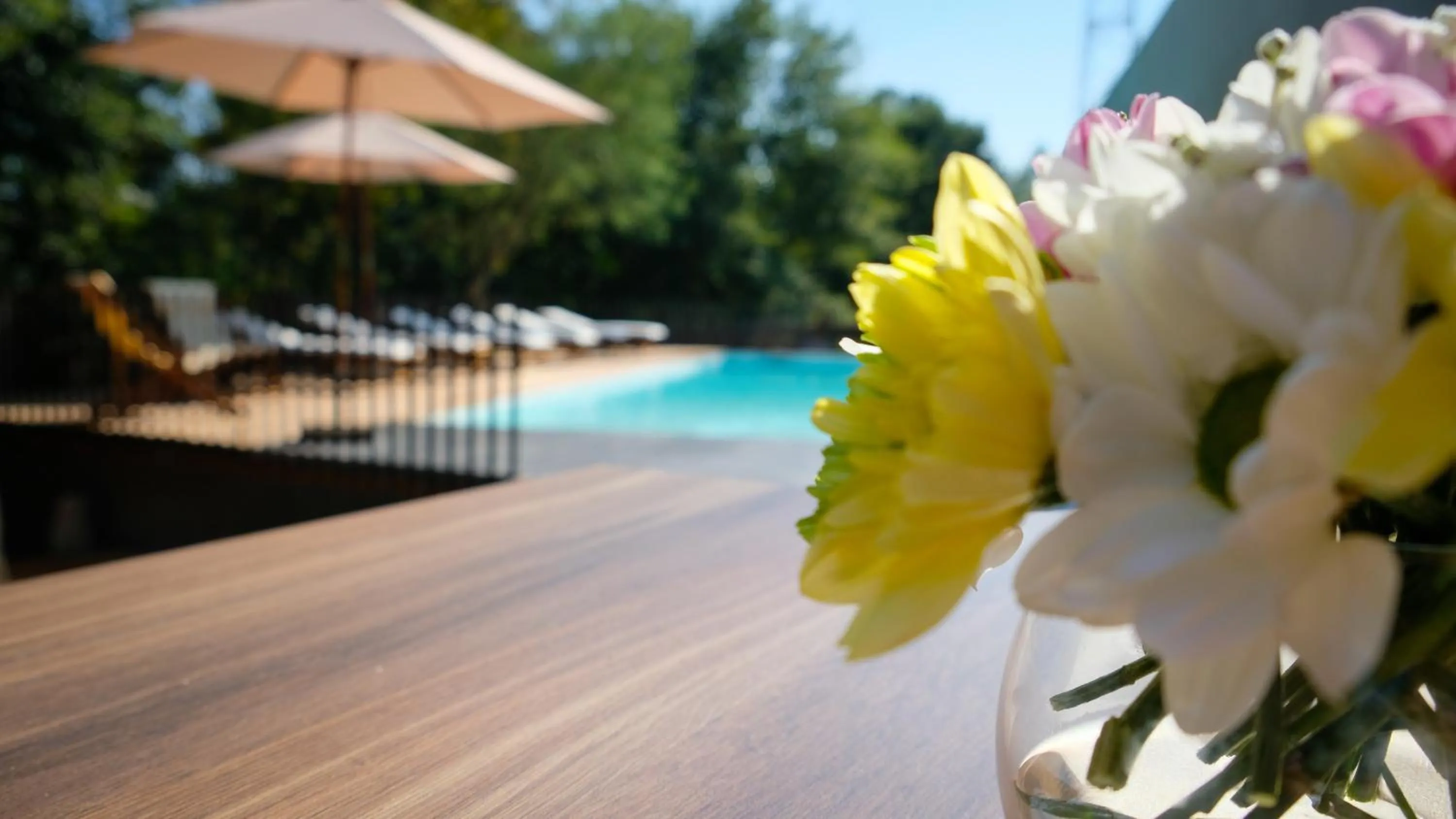 Activities in Quinta do Pedregal Hotel & Spa