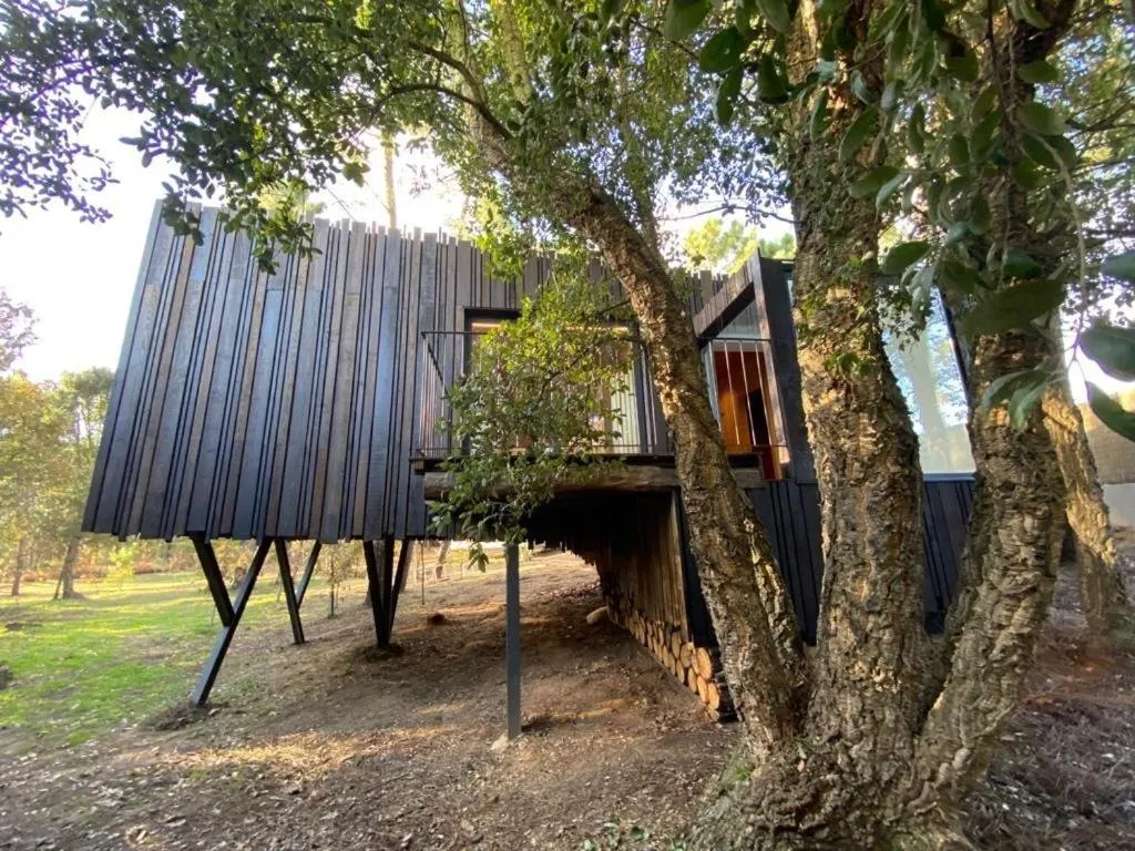 Garden in Quinta do Pedregal Hotel & Spa