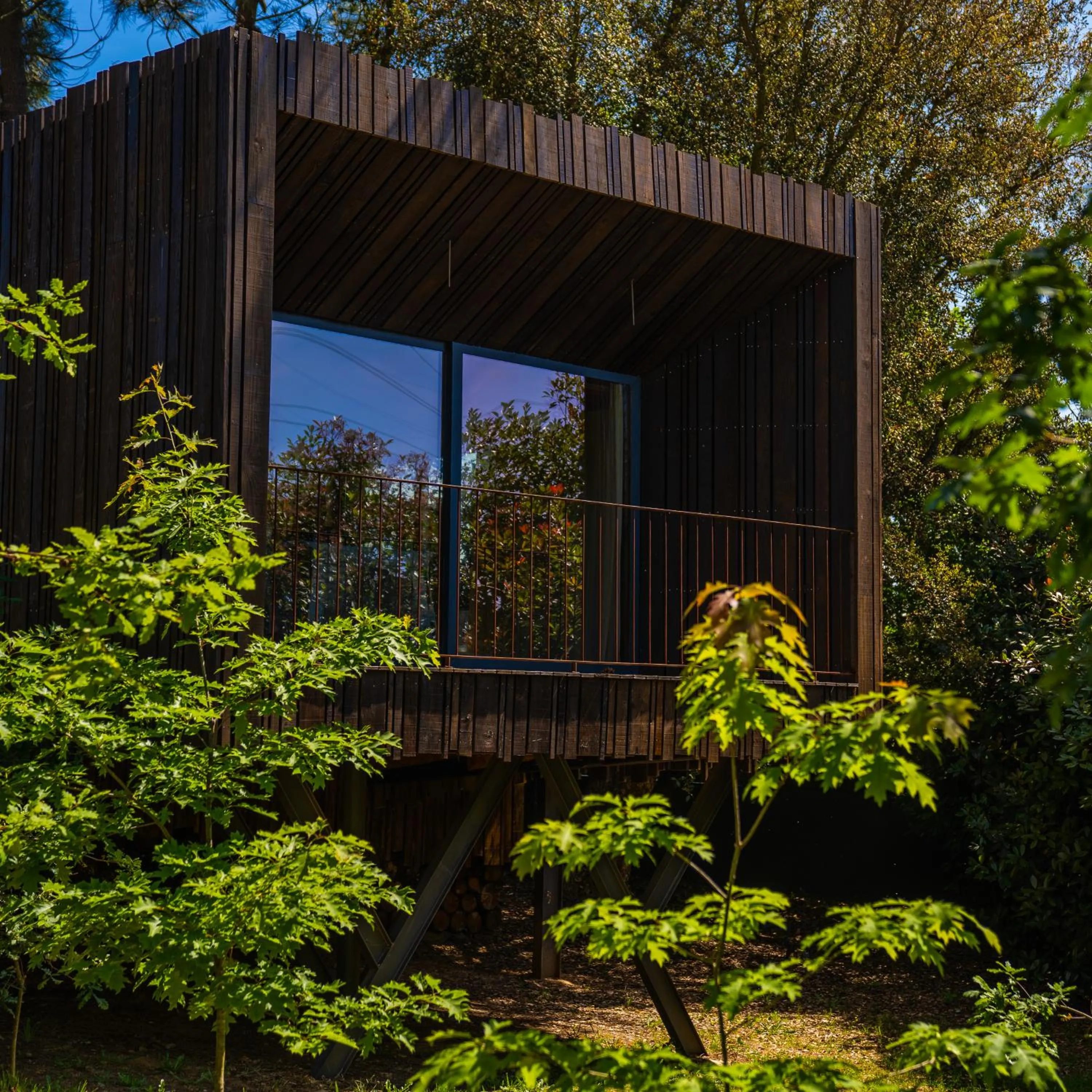 Day in Quinta do Pedregal Hotel & Spa